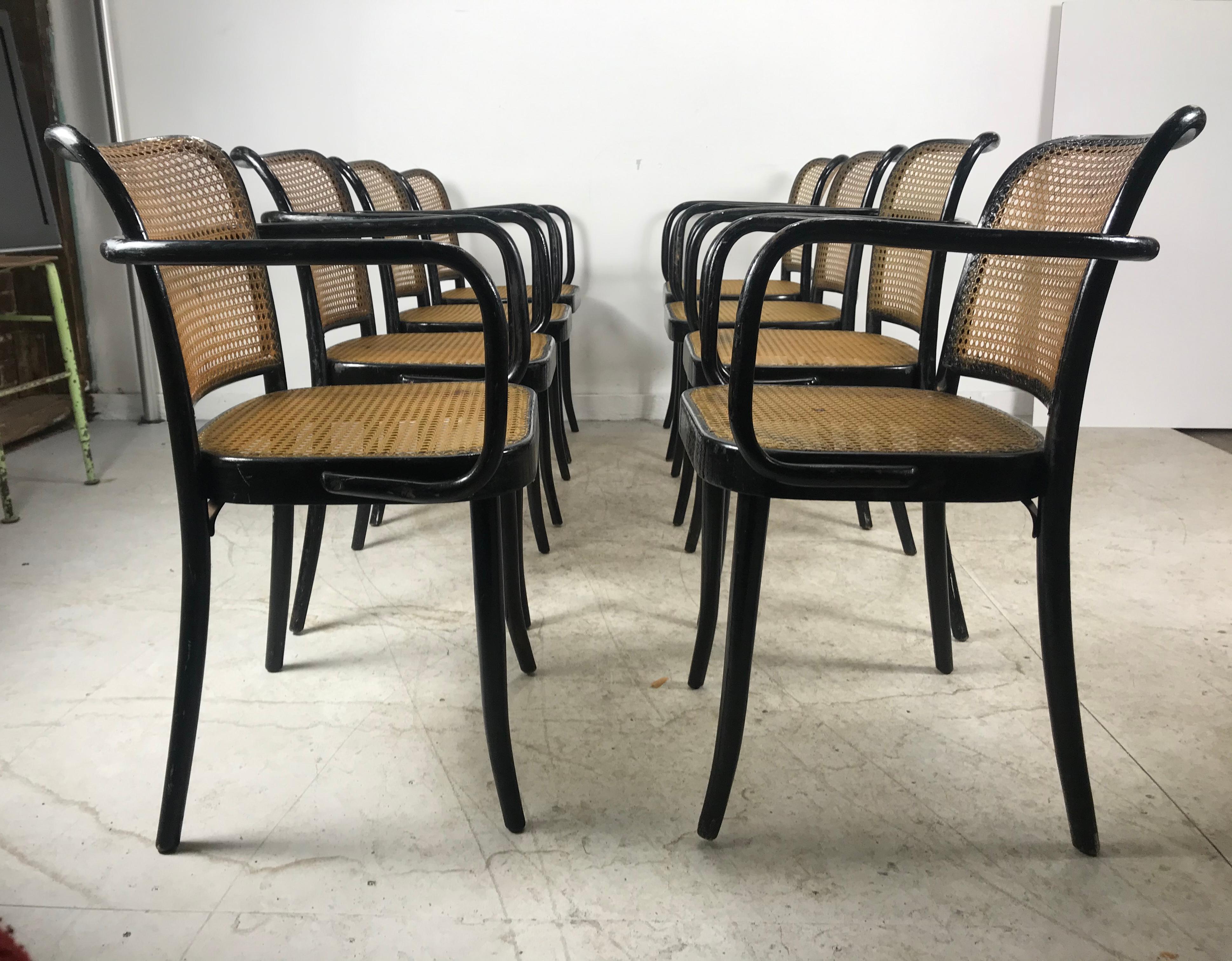 Classic set of eight, Stendig cane armchairs with bent black lacquered beech-wood frame and cane seat designed by to Josef Hoffmann. Made in Czechoslovakia. Few of the chairs retain original early Stendig label. Hand delivery avail to New York City