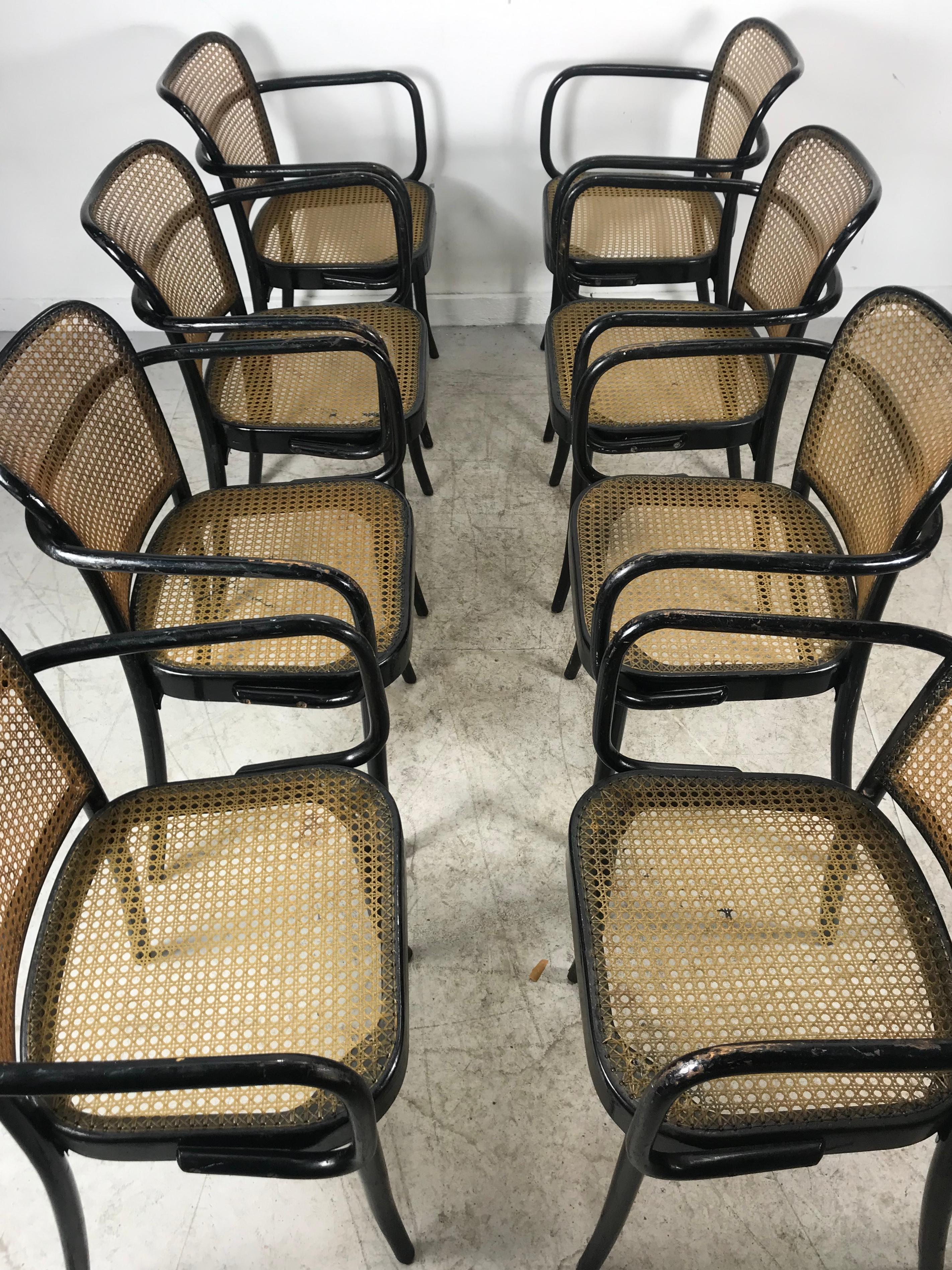 Czech Josef Hoffmann for Stendig Bentwood Cane Dining Chairs, Set of Eight