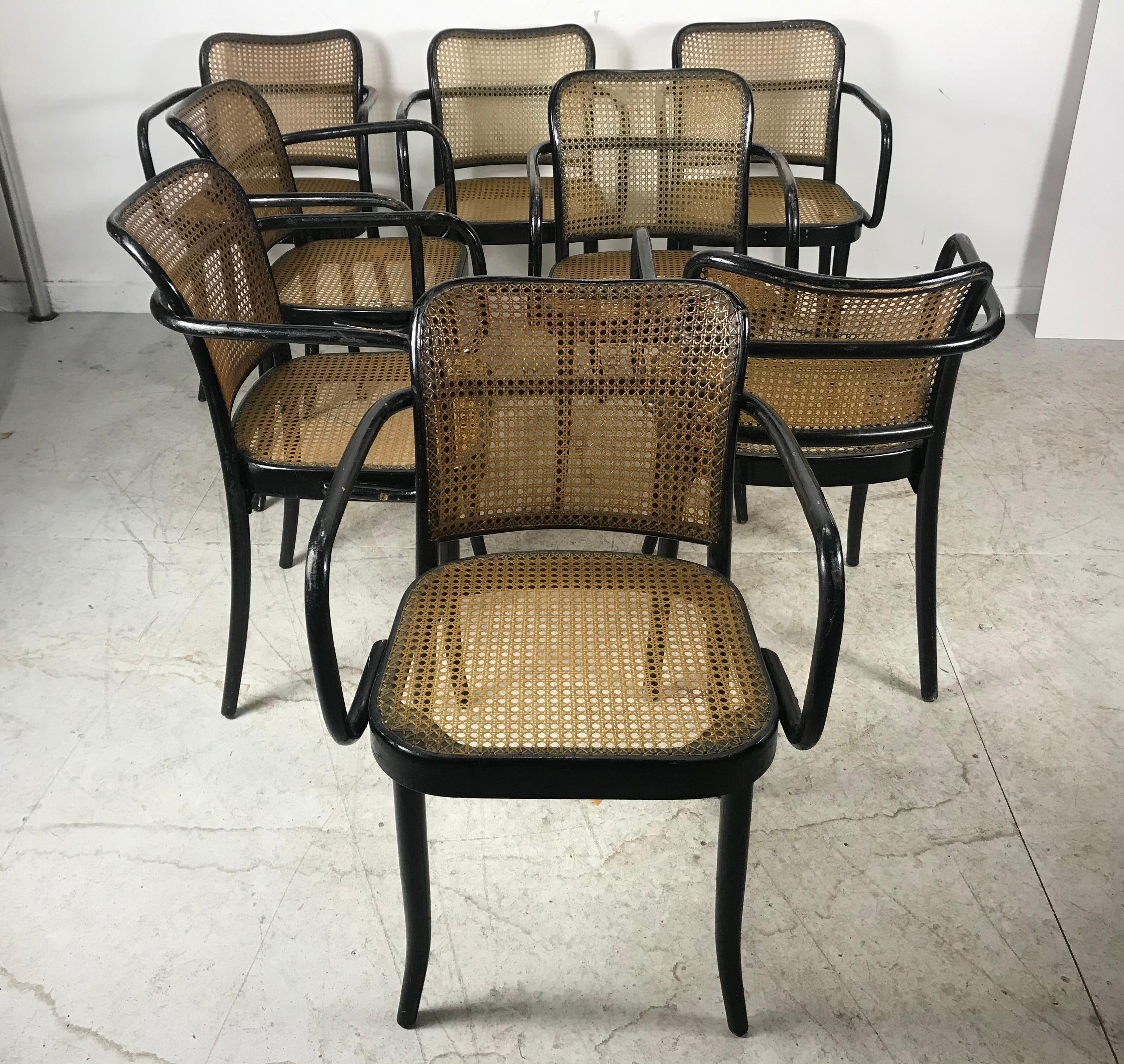 Josef Hoffmann for Stendig Bentwood Cane Dining Chairs, Set of Eight In Good Condition In Buffalo, NY
