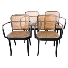 Set of Four Bentwood Cane Dining Chairs by Josef Hoffmann for Stendig, 1950s