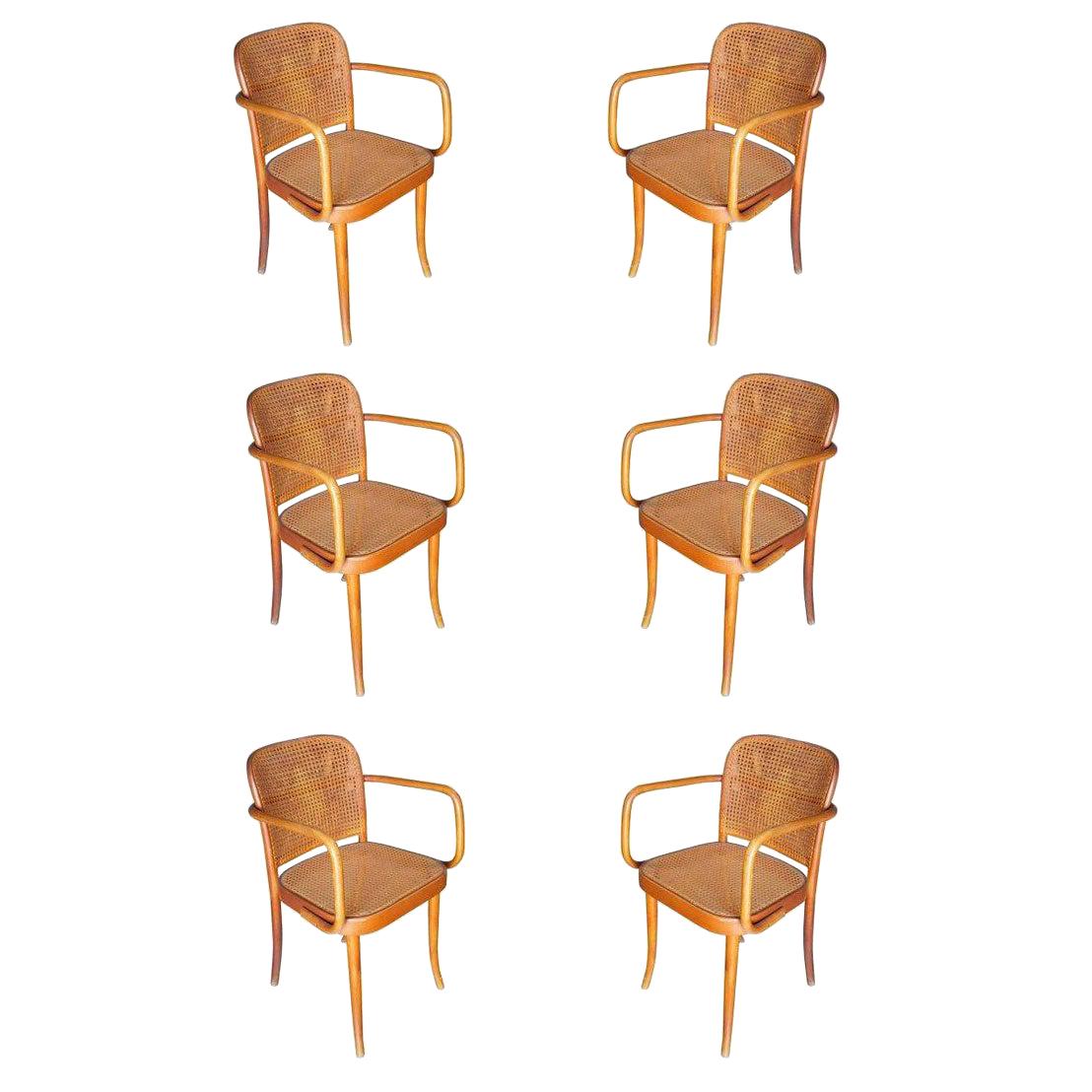 Josef Hoffmann for Stendig Bentwood Cane Dining Chairs, Set of Six