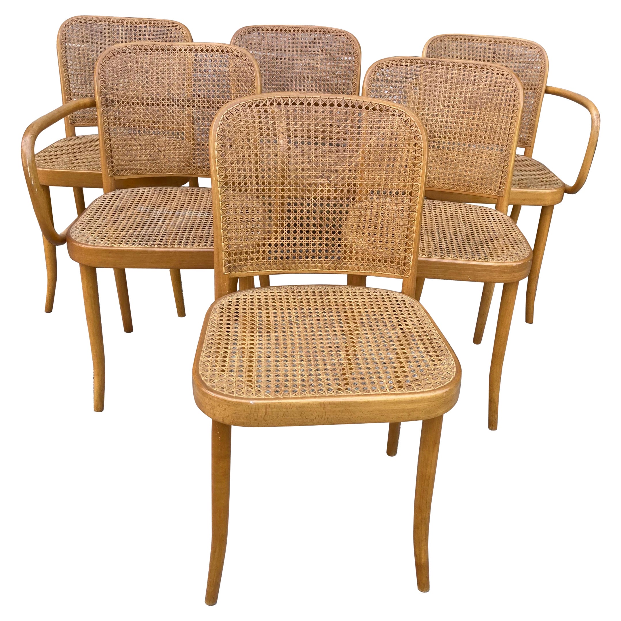 Josef Hoffmann para Stendig Sillas de comedor