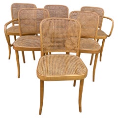 Josef Hoffmann para Stendig Sillas de comedor