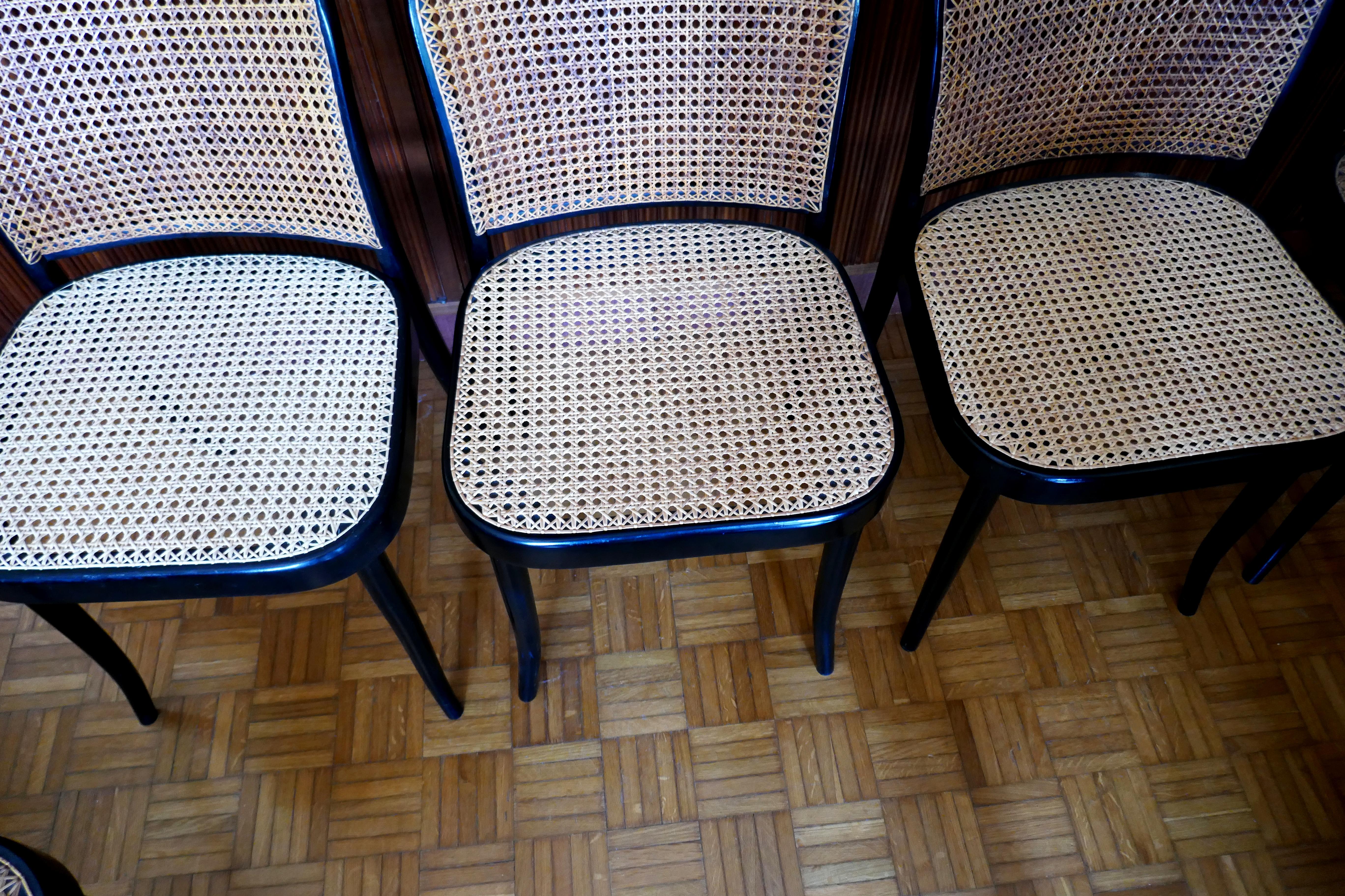 Josef Hoffmann per Ligna/Thonet In Good Condition For Sale In Lugo, IT