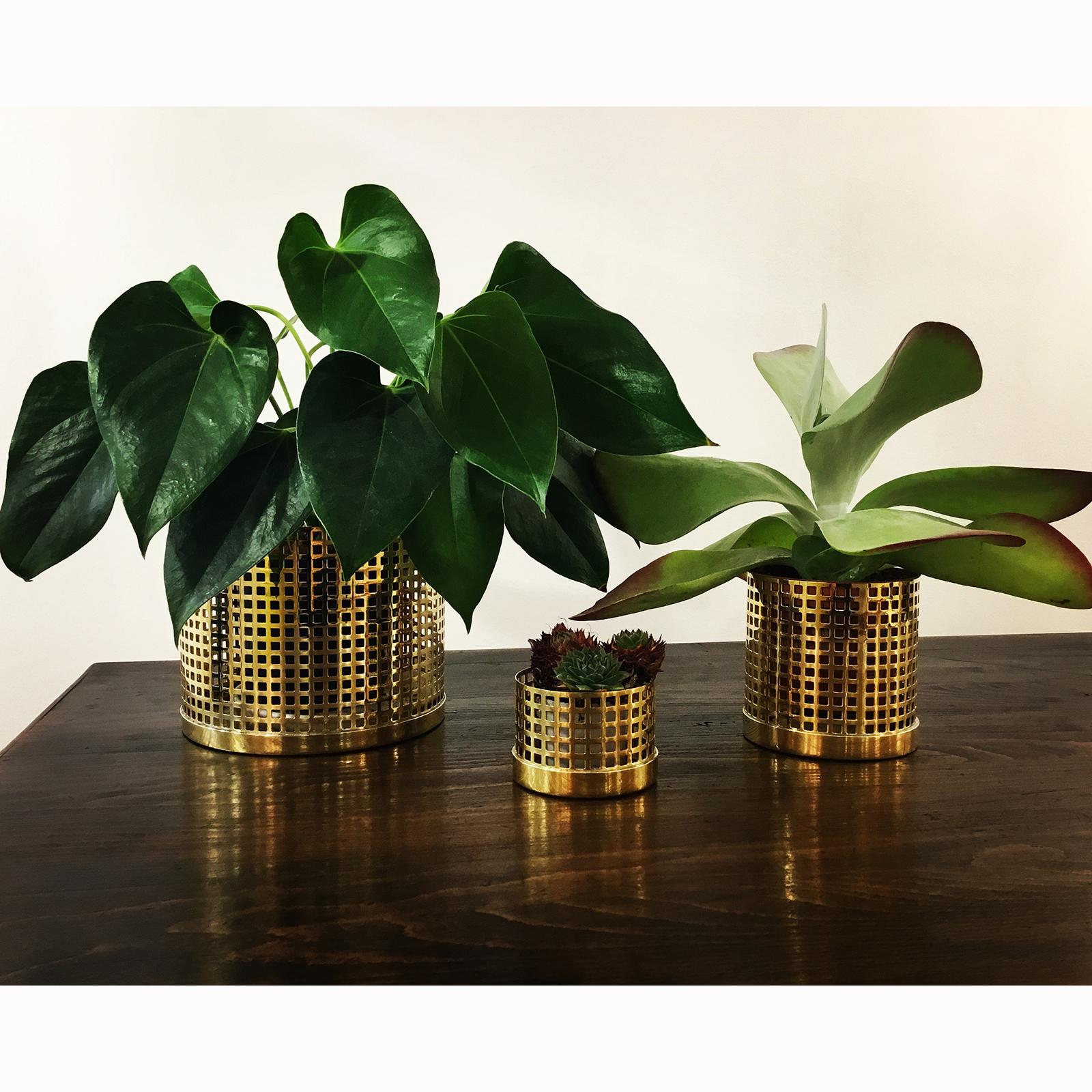 Jugendstil Josef Hoffmann & Wiener Werkstätte Flower Pots Ensemble