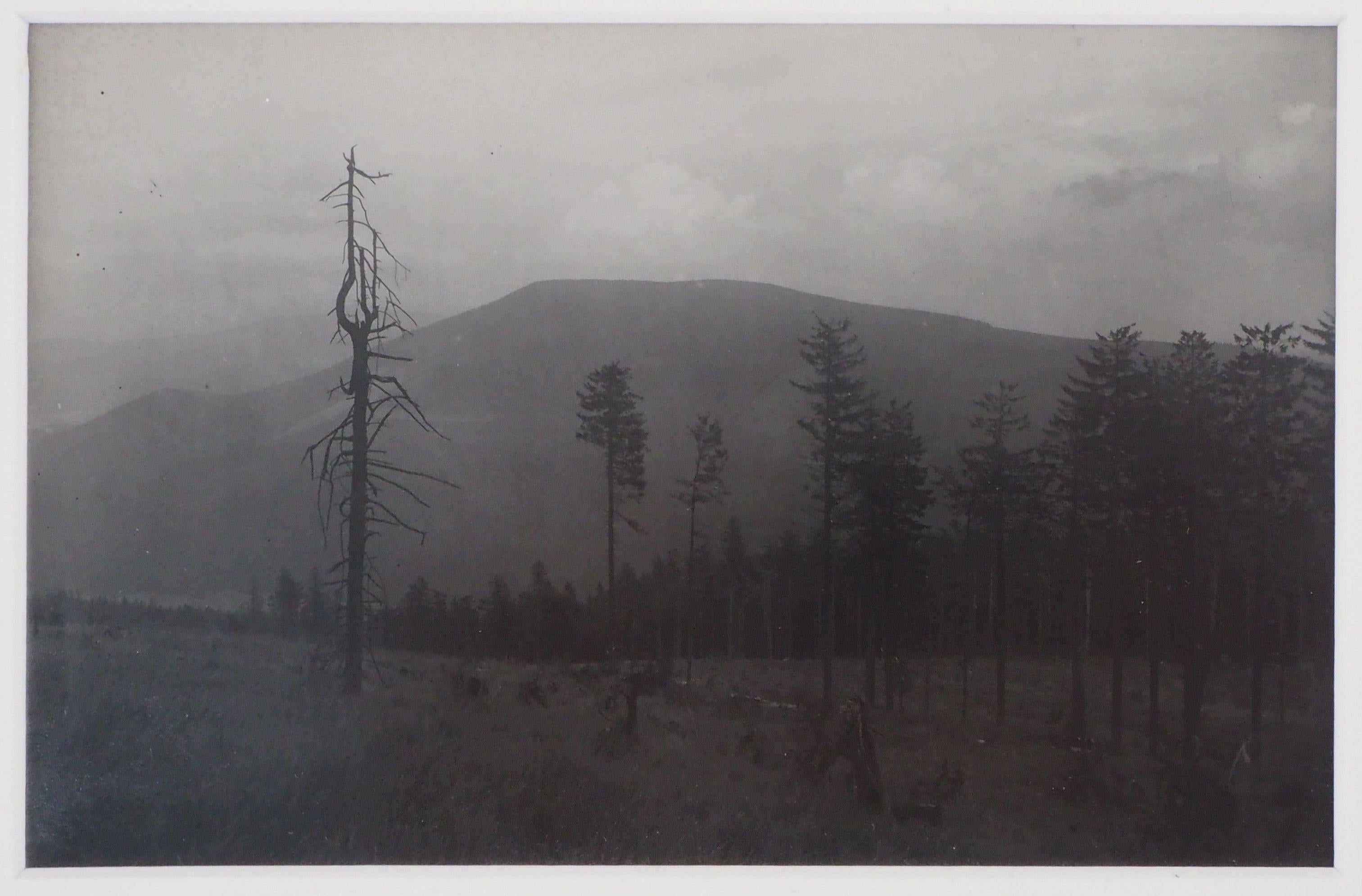 Josef Sudek Black and White Photograph - Beskydy : Czech Mountains - Original Gelatin Silver Photograph, 1956