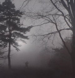 Foresta Mionsi nella nebbia - Fotografia originale alla gelatina d'argento, 1950 ca.