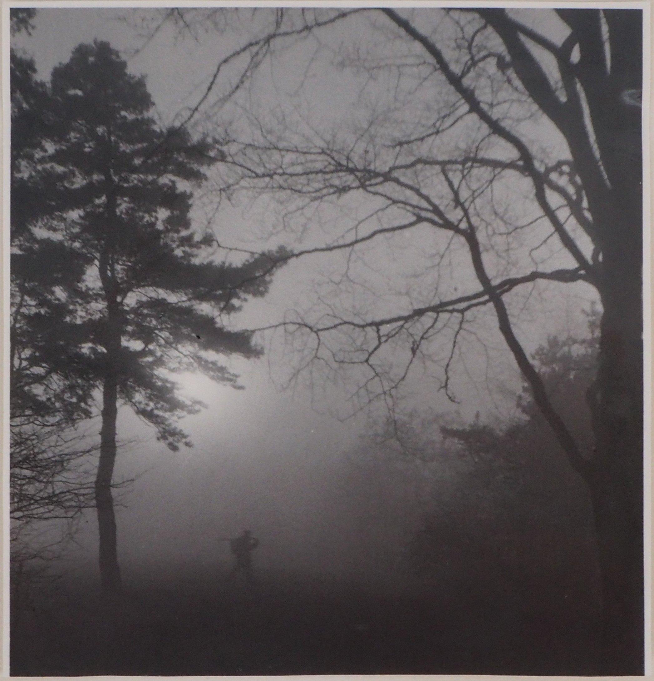 Josef Sudek Landscape Photograph - Forest Mionsi in the fog - Original Gelatin Silver Photograph, c. 1950
