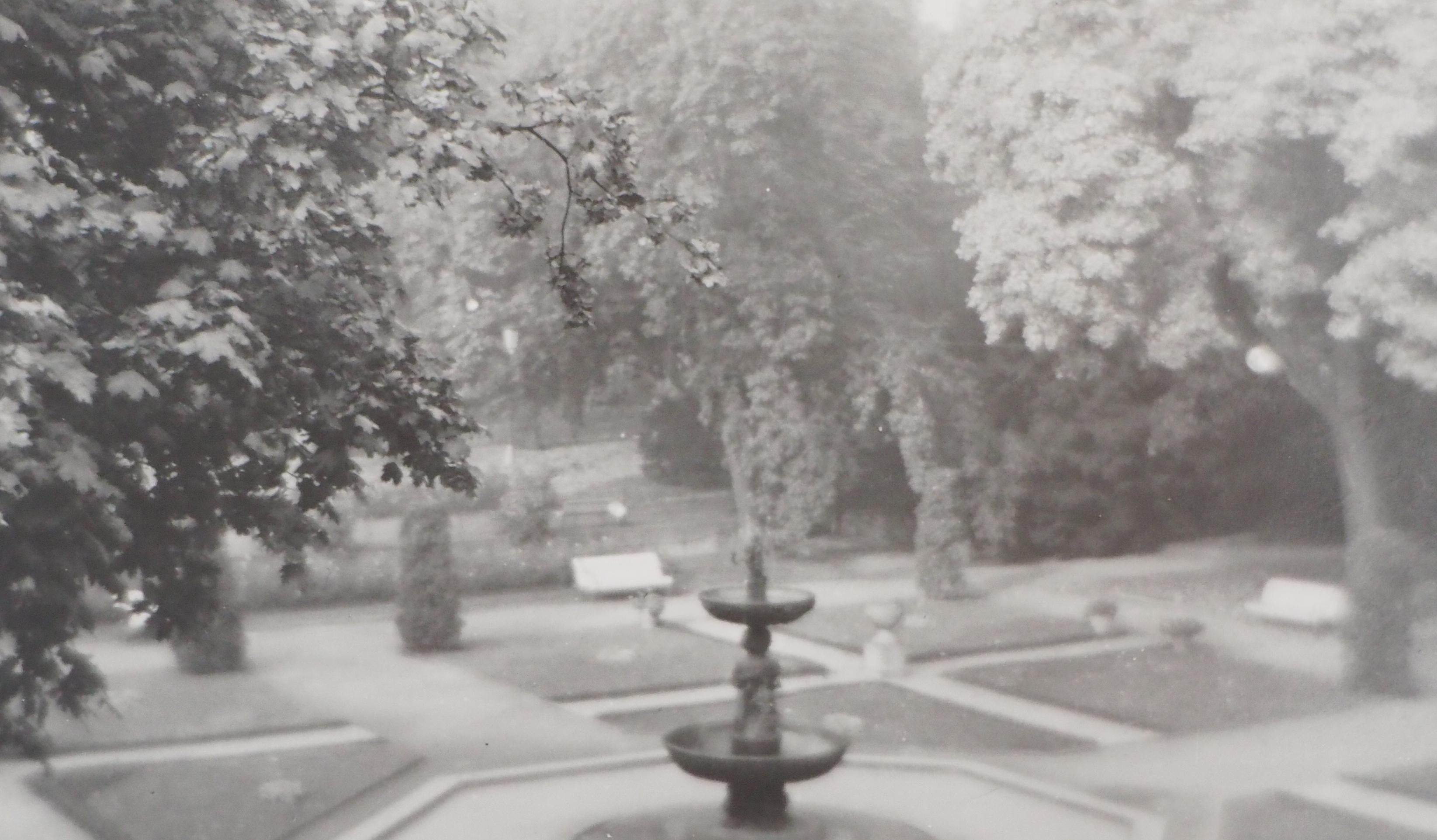 Prague : Royal Garden - Original Gelatin Silver Photograph, 1969 For Sale 2