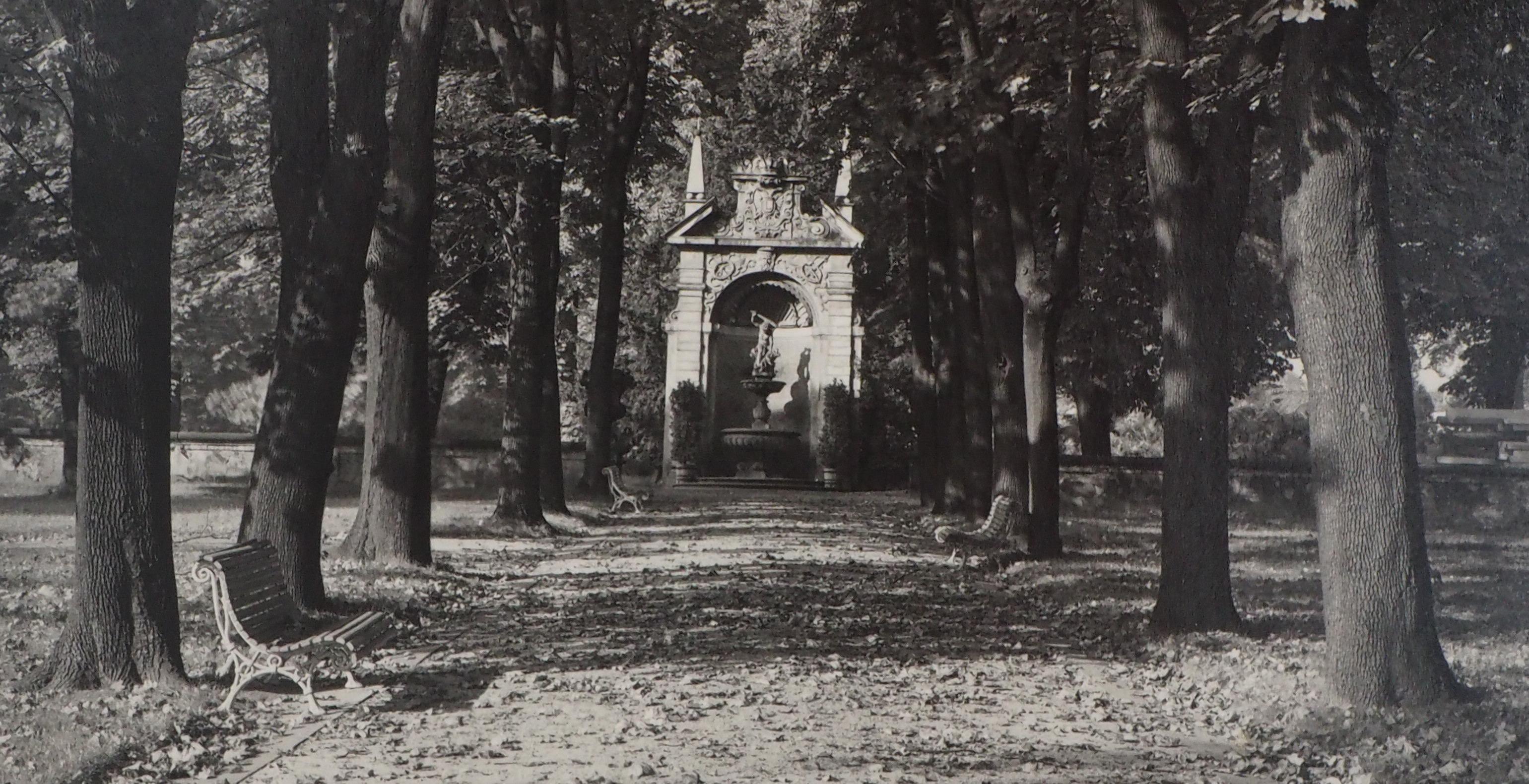 Prague : Royal Gardens - Original Hand Signed Gelatin Silver Photograph, 1976 - Black Landscape Photograph by Josef Sudek