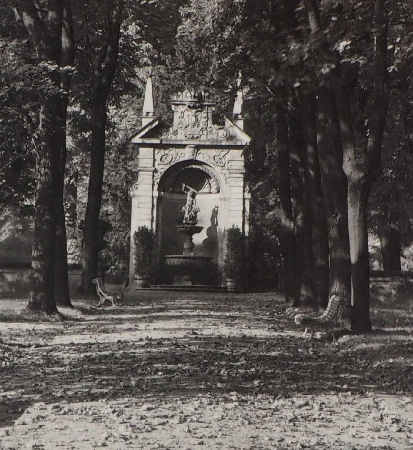 Josef Sudek
Prague : Royal Gardens, 1976

Original gelatin silver print
Hand signed in pencil in the lower right corner (see picture)
Dated in pencil on the back (January 1976 - see picture)
Printed in the 1976
11.7 x 16.7 cm (c. 4.3 x 6.3