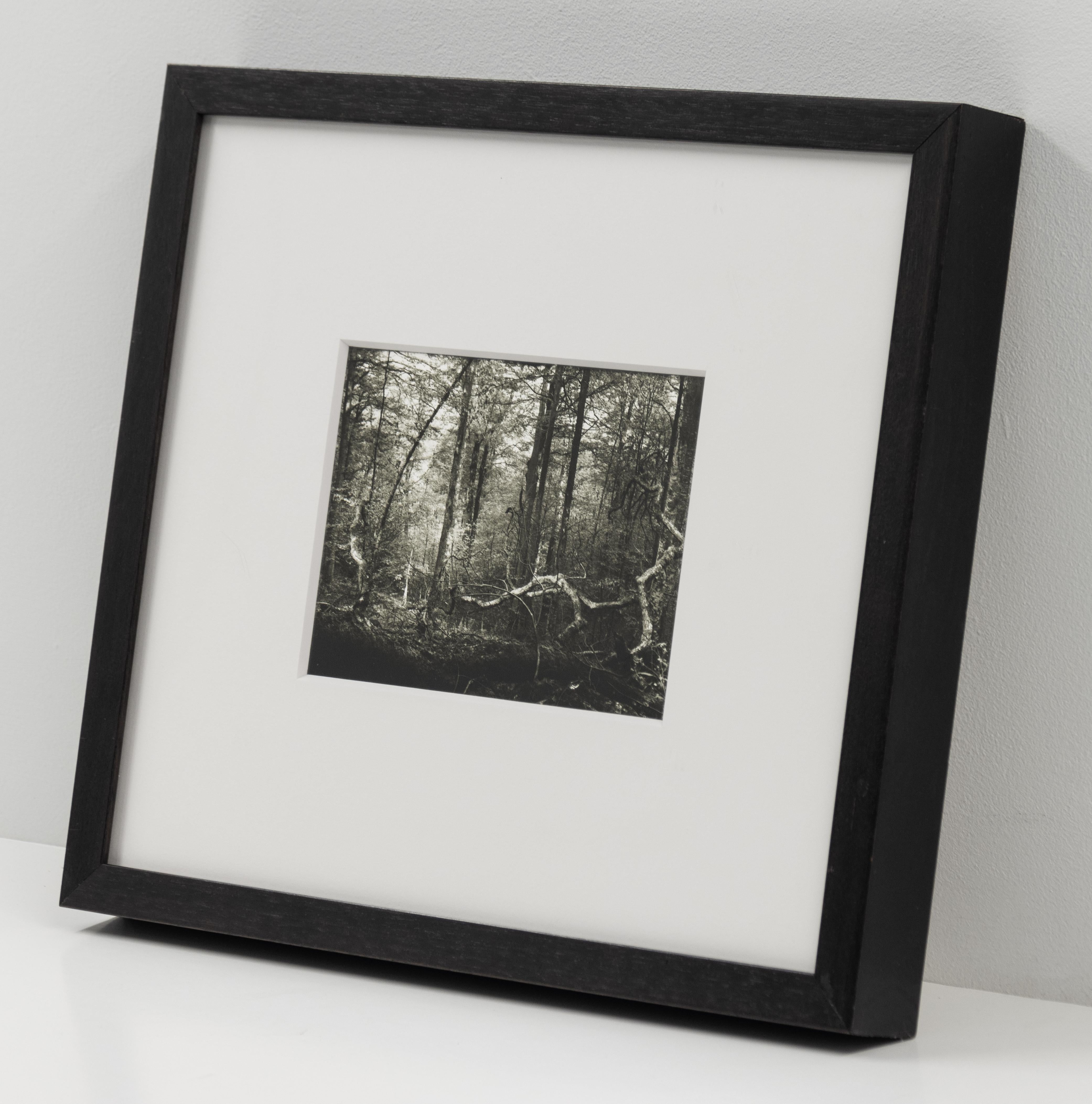Escena de bosque sin título (Procházka po Mionší), Josef Sudek foto en blanco y negro en venta 3