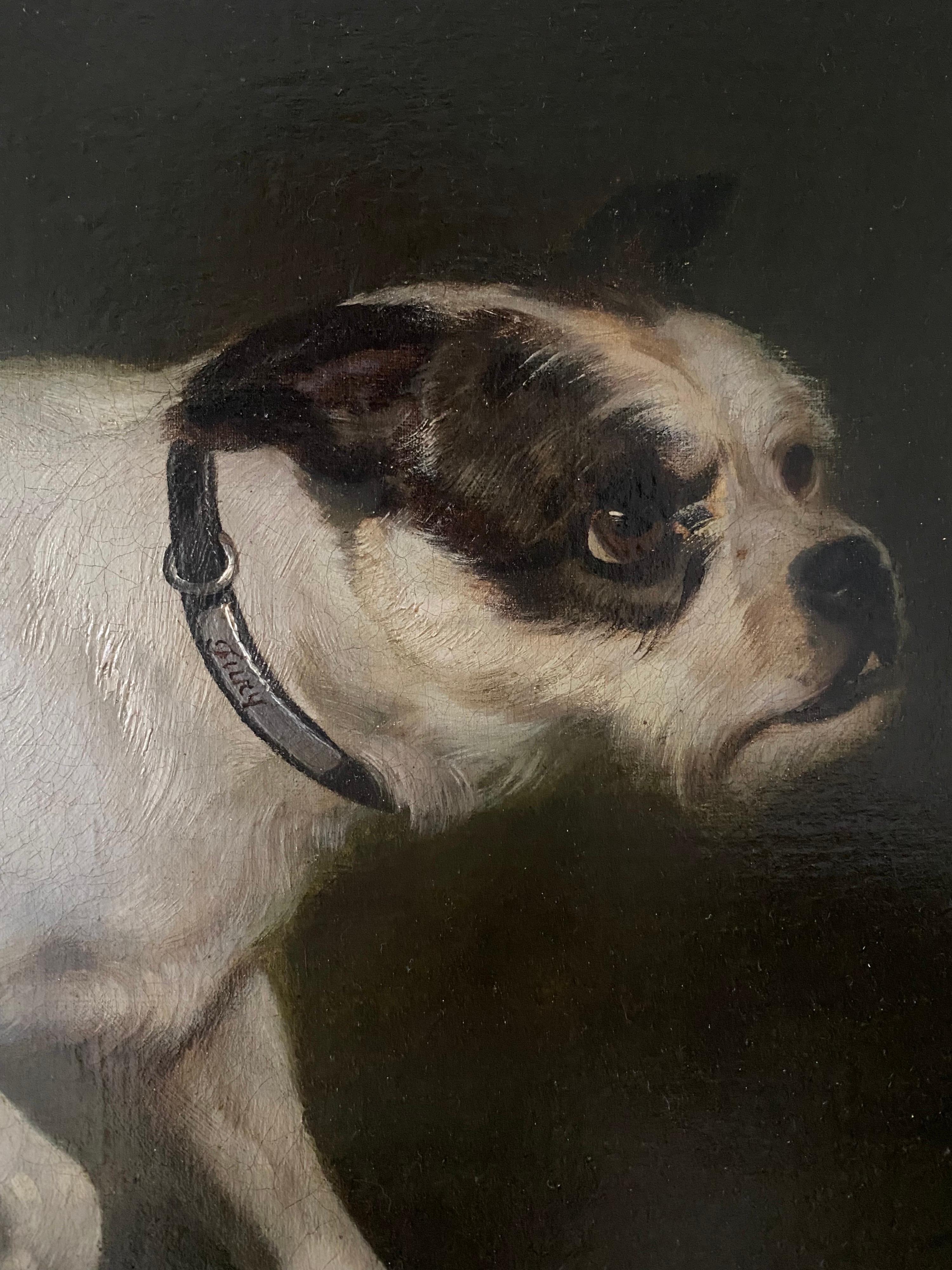 19th century study of a Terrier - Painting by Josef Volmar