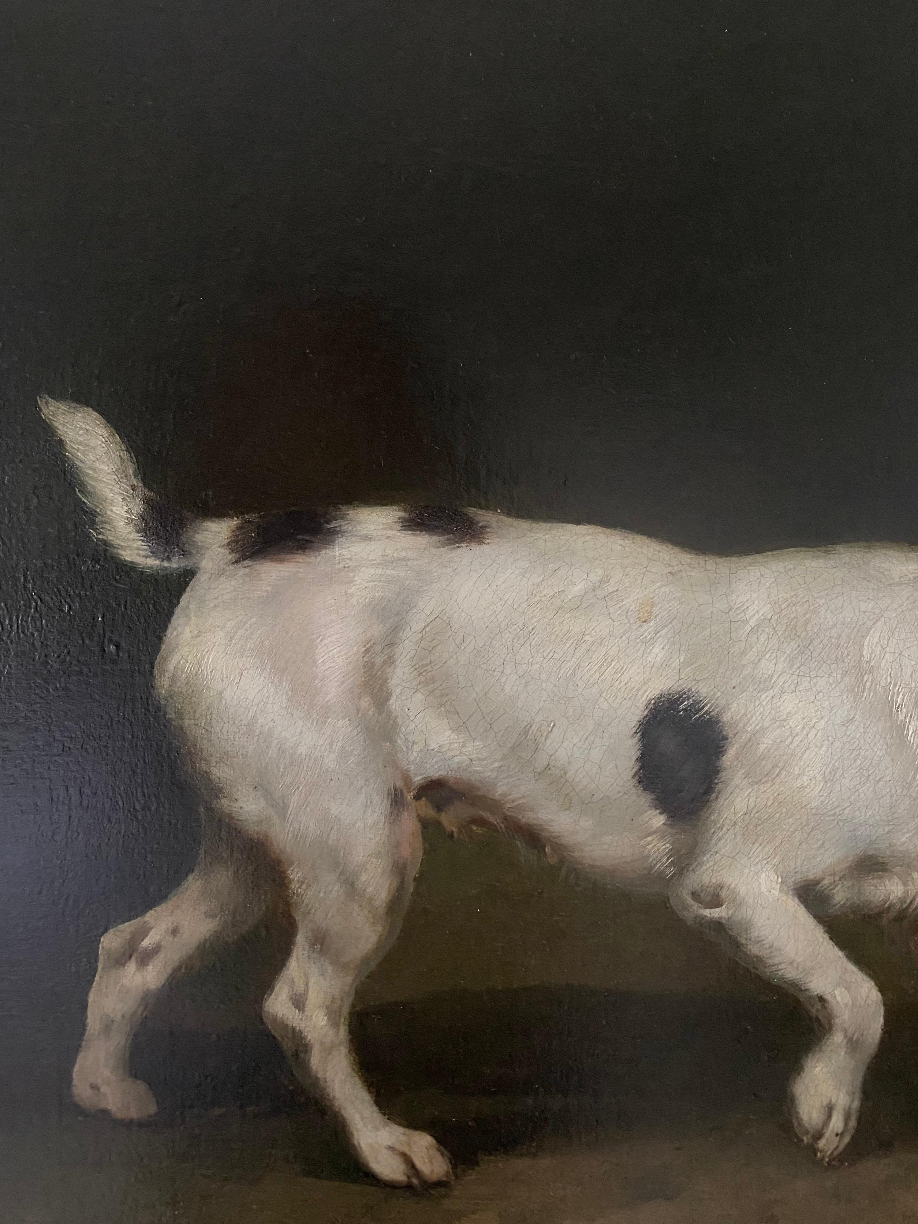 19th century study of a Terrier - Brown Animal Painting by Josef Volmar