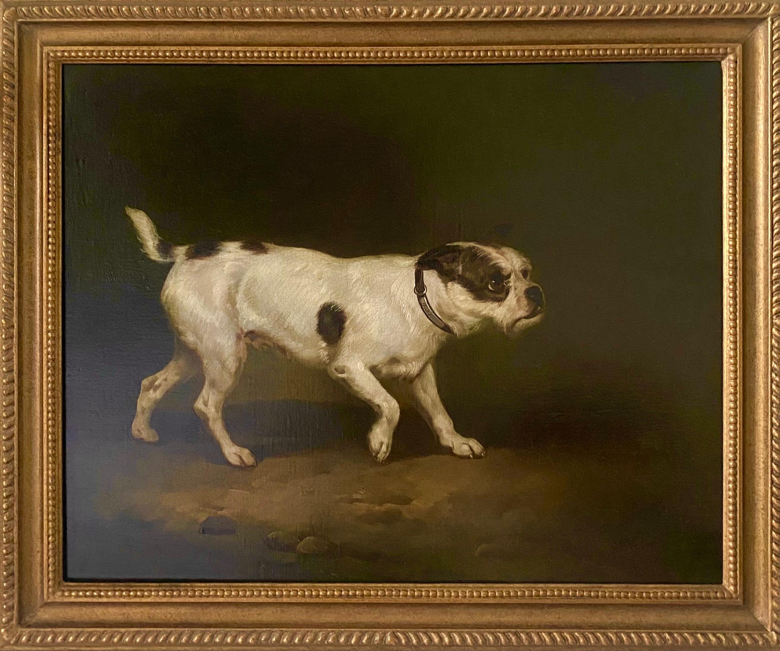Josef Volmar Animal Painting - 19th century study of a Terrier
