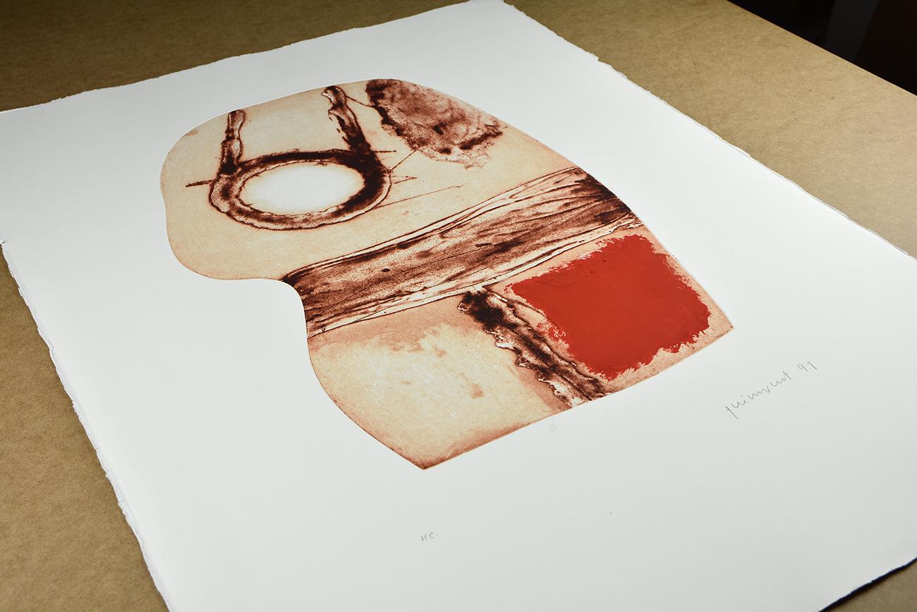Josep Guinovart IMATGES I TERRA II Astrazione contemporanea spagnola colorata a mano - Print di Josep Guinovart Bertrán