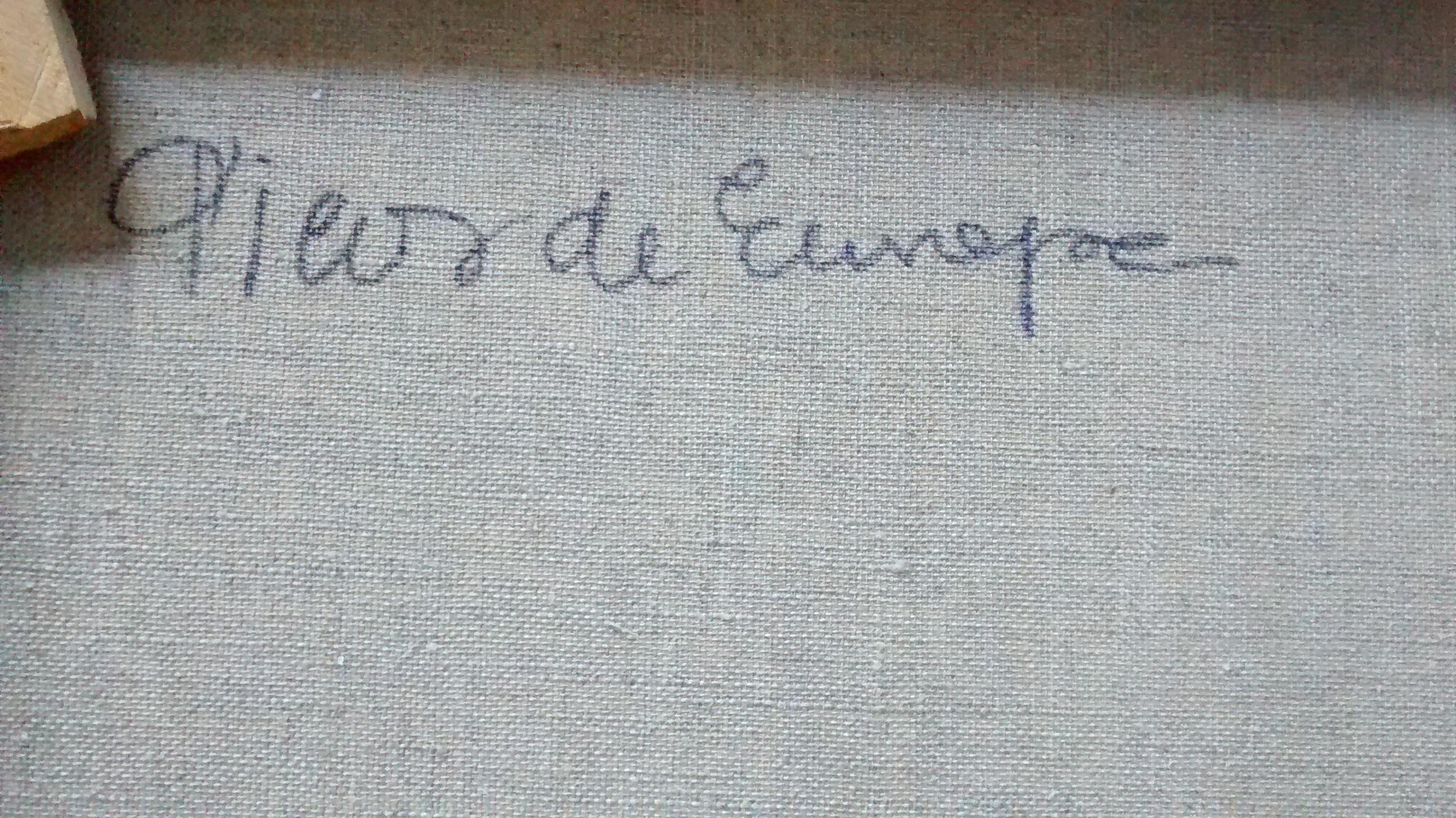 Vila Cañellas Stadt  Asturien. PICOS DE EUROPA   Original  Acryl im Angebot 3