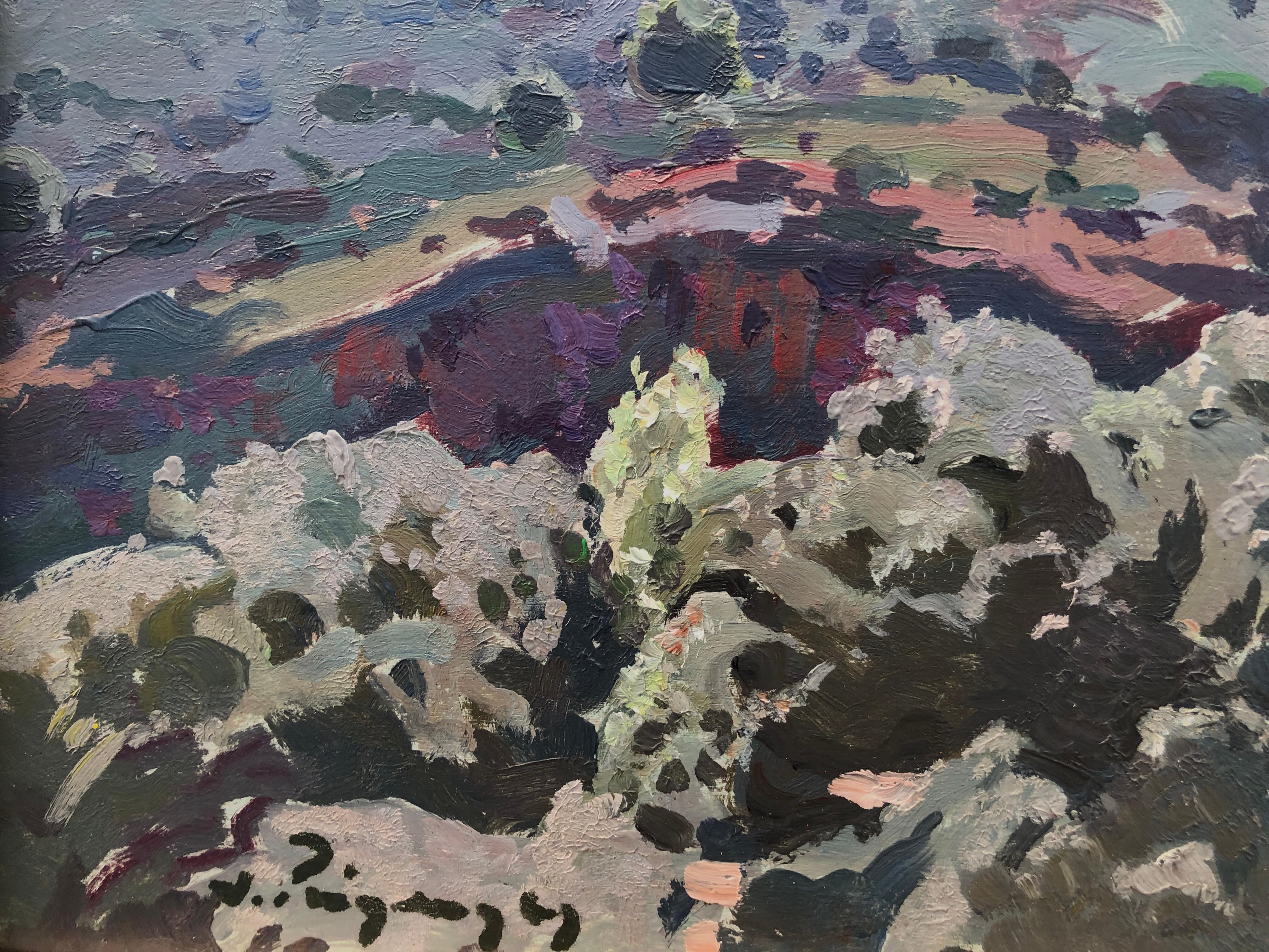 Paesaggi dei Pirenei e di Maiorca olio su tavola pittura spagna - Landscape Painting Nero di Josep Puigdengolas