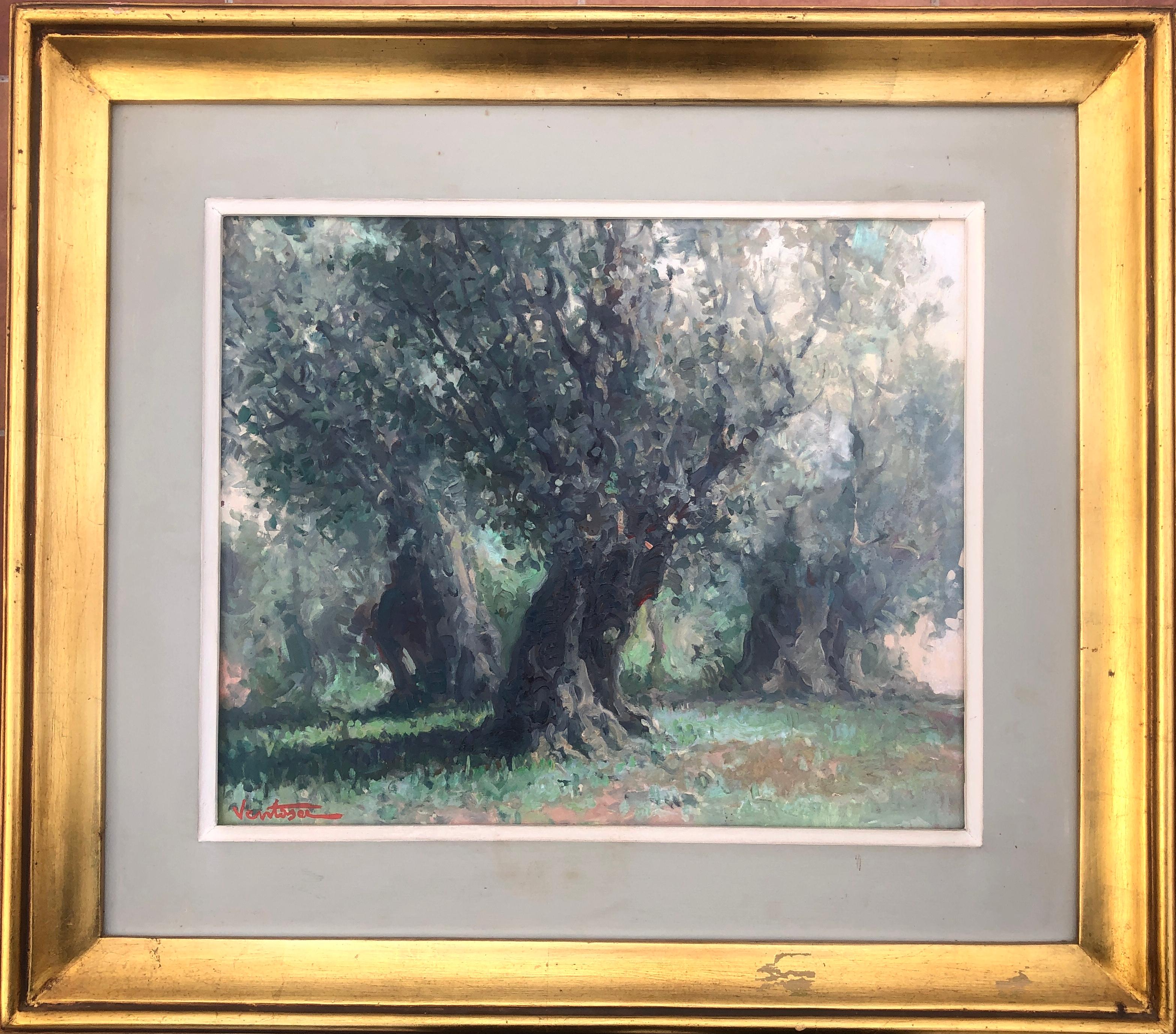 Olive trees Soller Mallorca Spain oil on board painting spanish landscape - Painting by Josep Ventosa Domenech