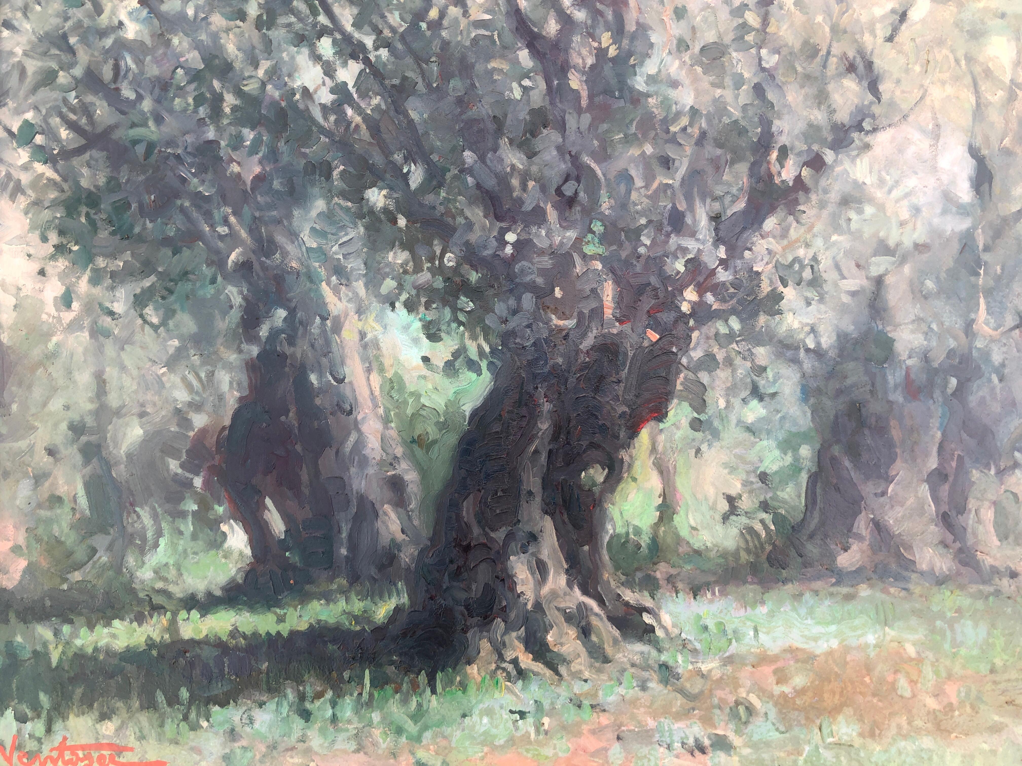 Olive trees Soller Mallorca Spain oil on board painting spanish landscape For Sale 2