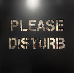 Please Disturb