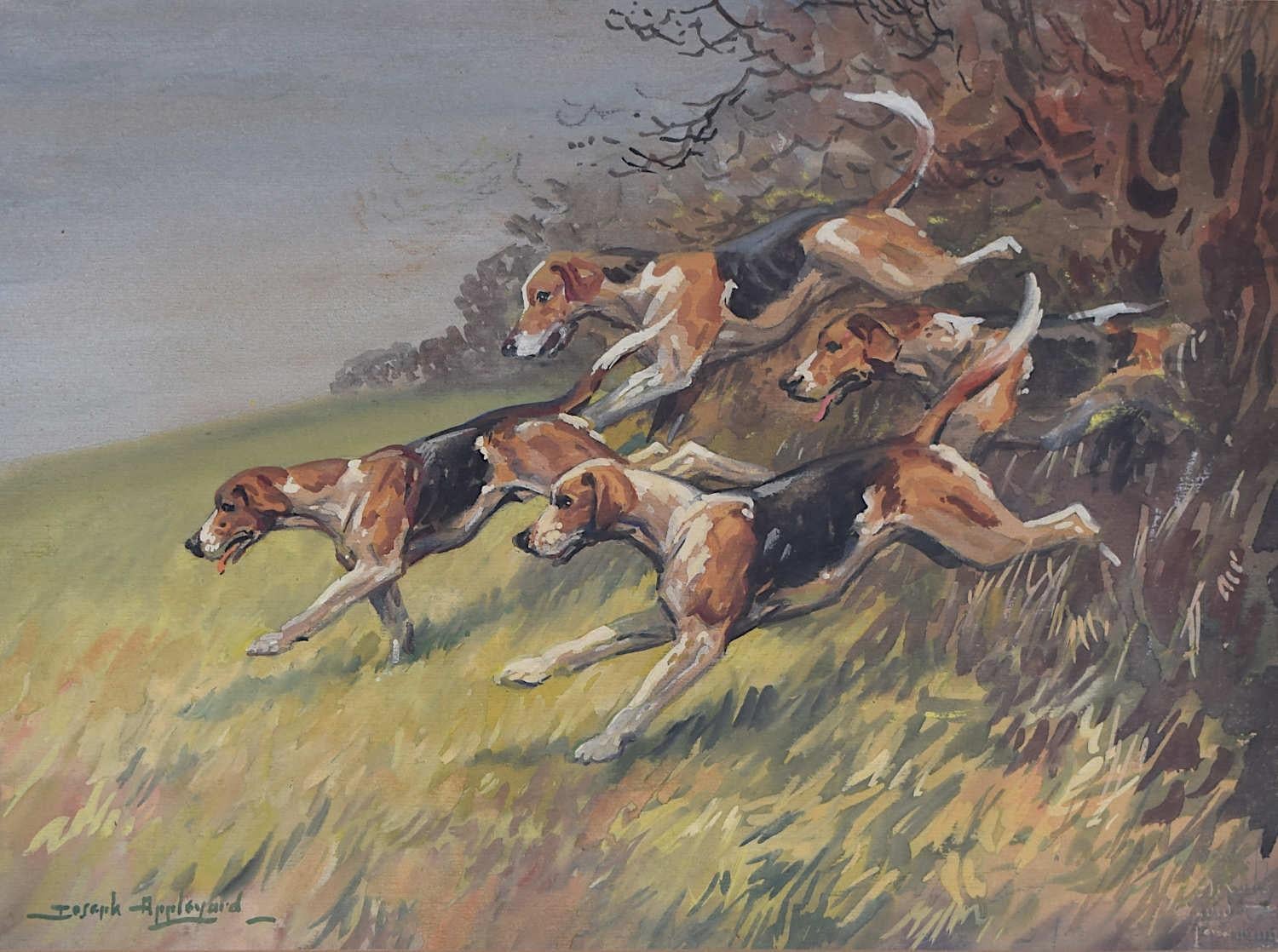 Joseph Appleyard
I Foxhound di Bramham Moor
Guazzo e acquerello 
28 x 38 cm
Firmato in basso a sinistra

Abile pittore e disegnatore con una passione per i soggetti sportivi, Joseph Appleyard (1908-1960) studiò part-time al Leeds College of Art dal