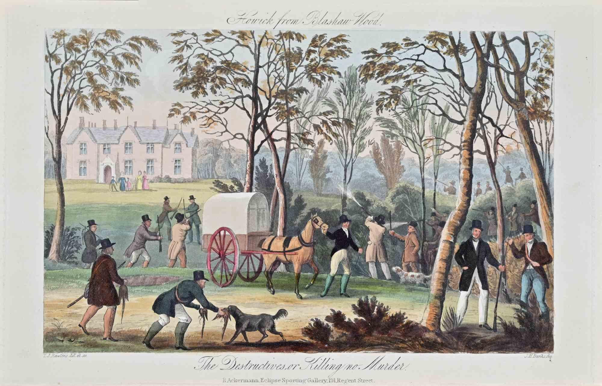 Howick from Blashaw Wood est une œuvre d'art, réalisée par l'artiste Joseph Banks en 1837.

Gravure en couleurs, titrée et signée dans la planche.

Belle gravure avec une mise en couleur contemporaine. Édition de Rudolph Ackermann , Eclipse Sporting