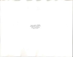 7000 Oak Trees - Original Vintage Photo by Buby Durini - 1984 ca.