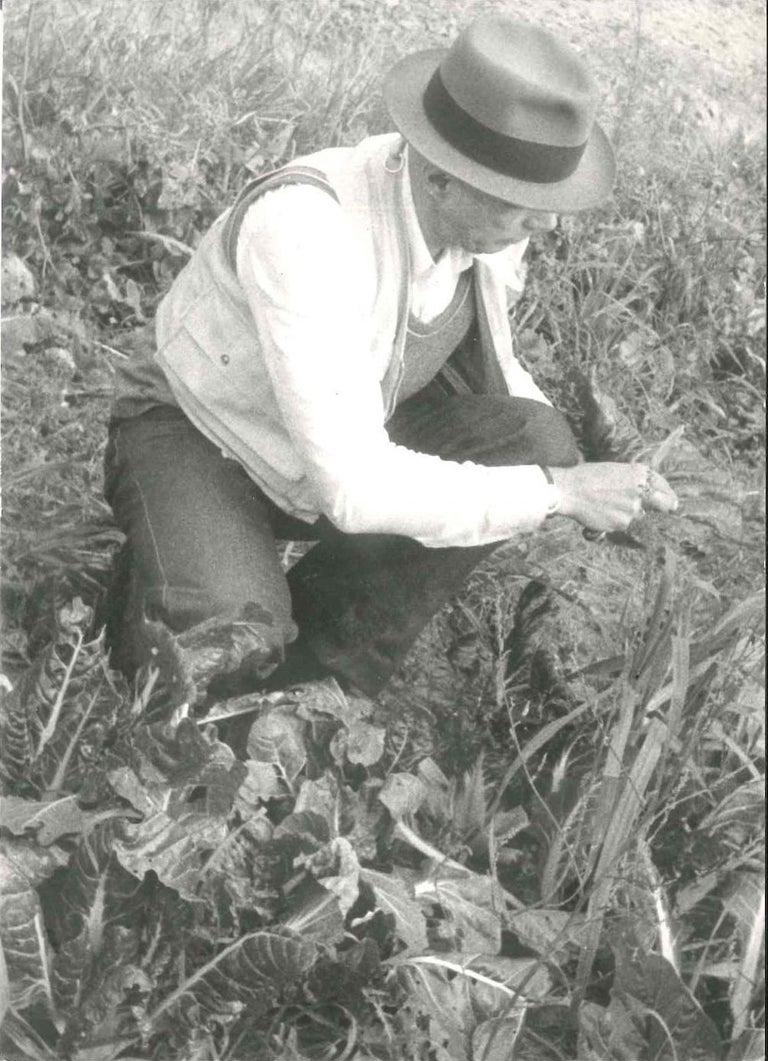 The Shaman of Art is an original black and white photograph representing the renowned German contemporary artist Joseph Beuys, with his typical felt hat and his hunter jacket, knelt down immersed in nature. This photo was very likely realized after