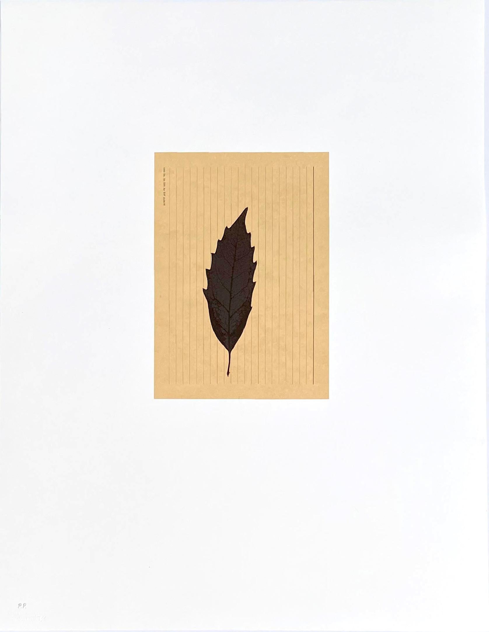 Blatt auf Karteikarte, aus dem Portfolio Columbus: Auf der Suche nach einem neuen Morgen – Print von Joseph Beuys
