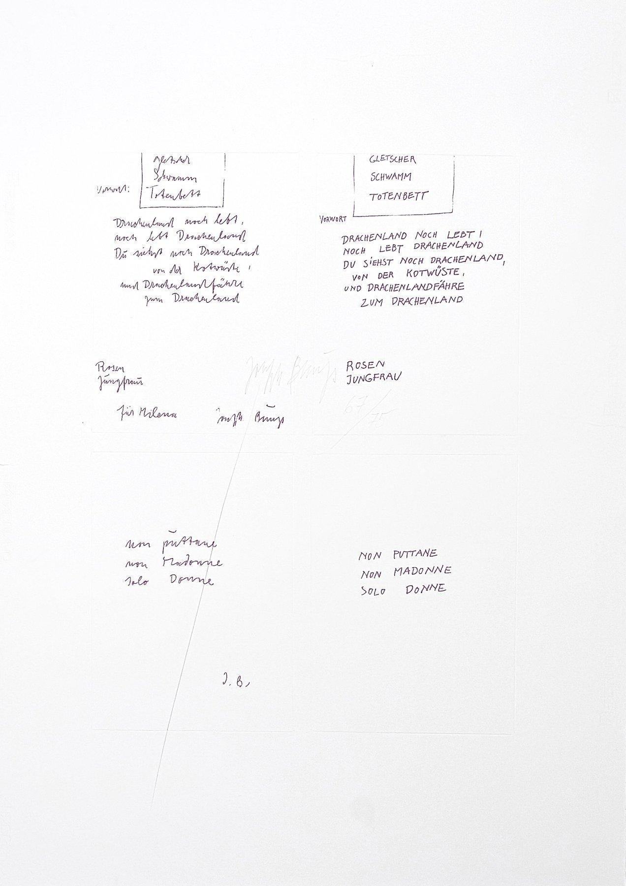 Joseph Beuys (1921-1986) - Héliogravure sur papier Fabriano - 1979