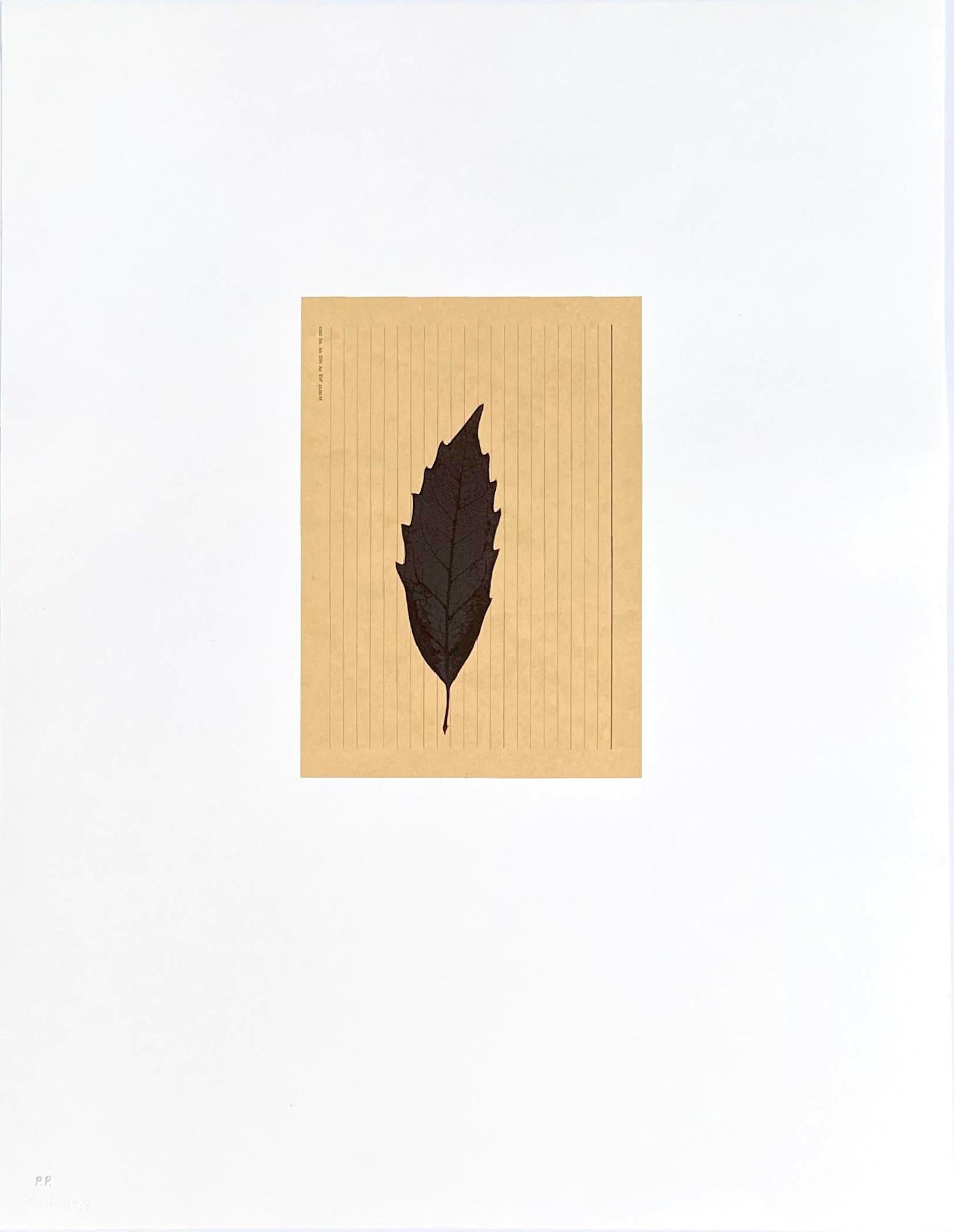 Joseph Beuys, Blatt auf Karteikarte, from Columbus: In Search of a New Tomorrow For Sale 1
