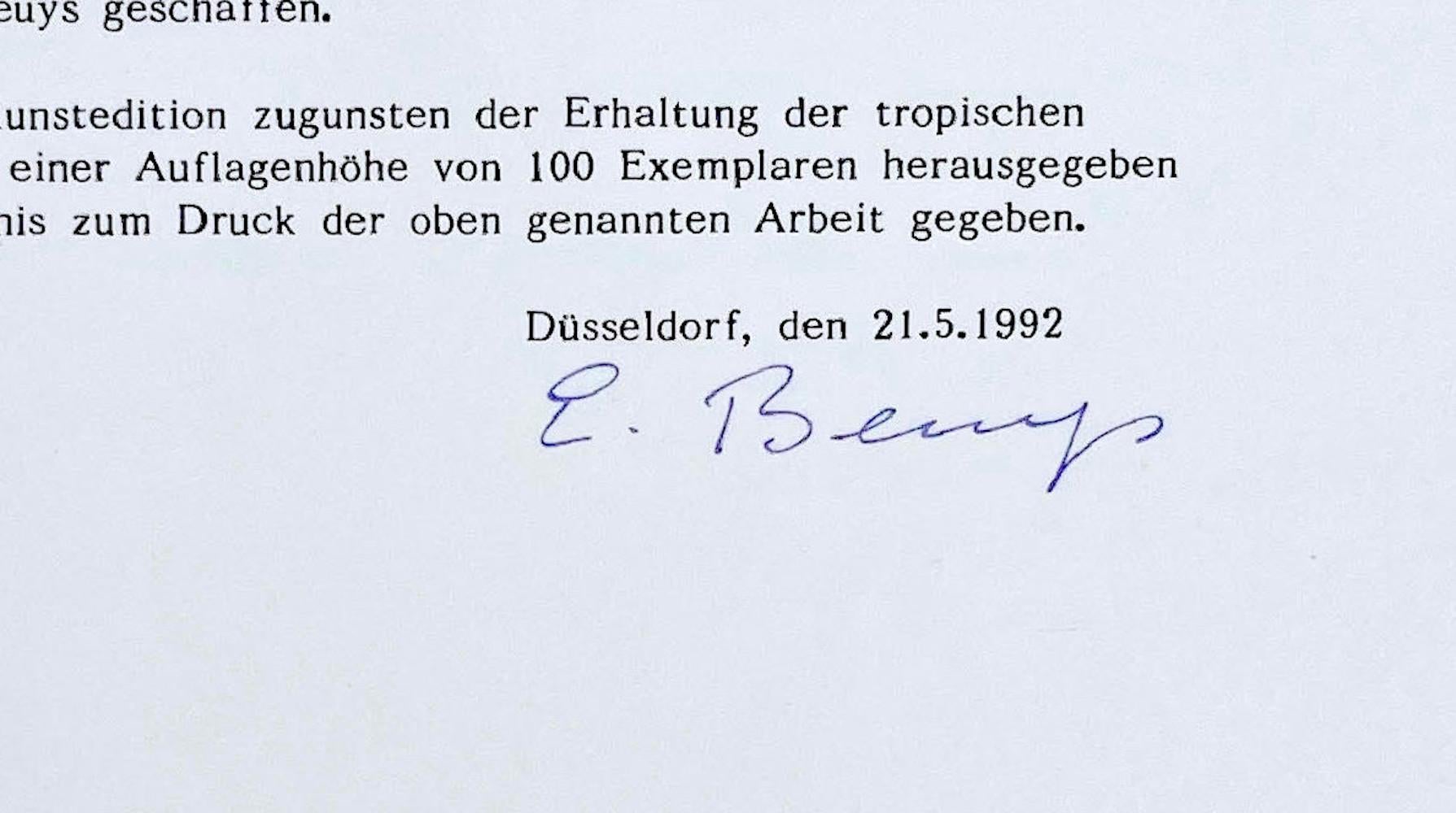 Joseph Beuys, Blatt auf Karteikarte, from Columbus: In Search of a New Tomorrow For Sale 4
