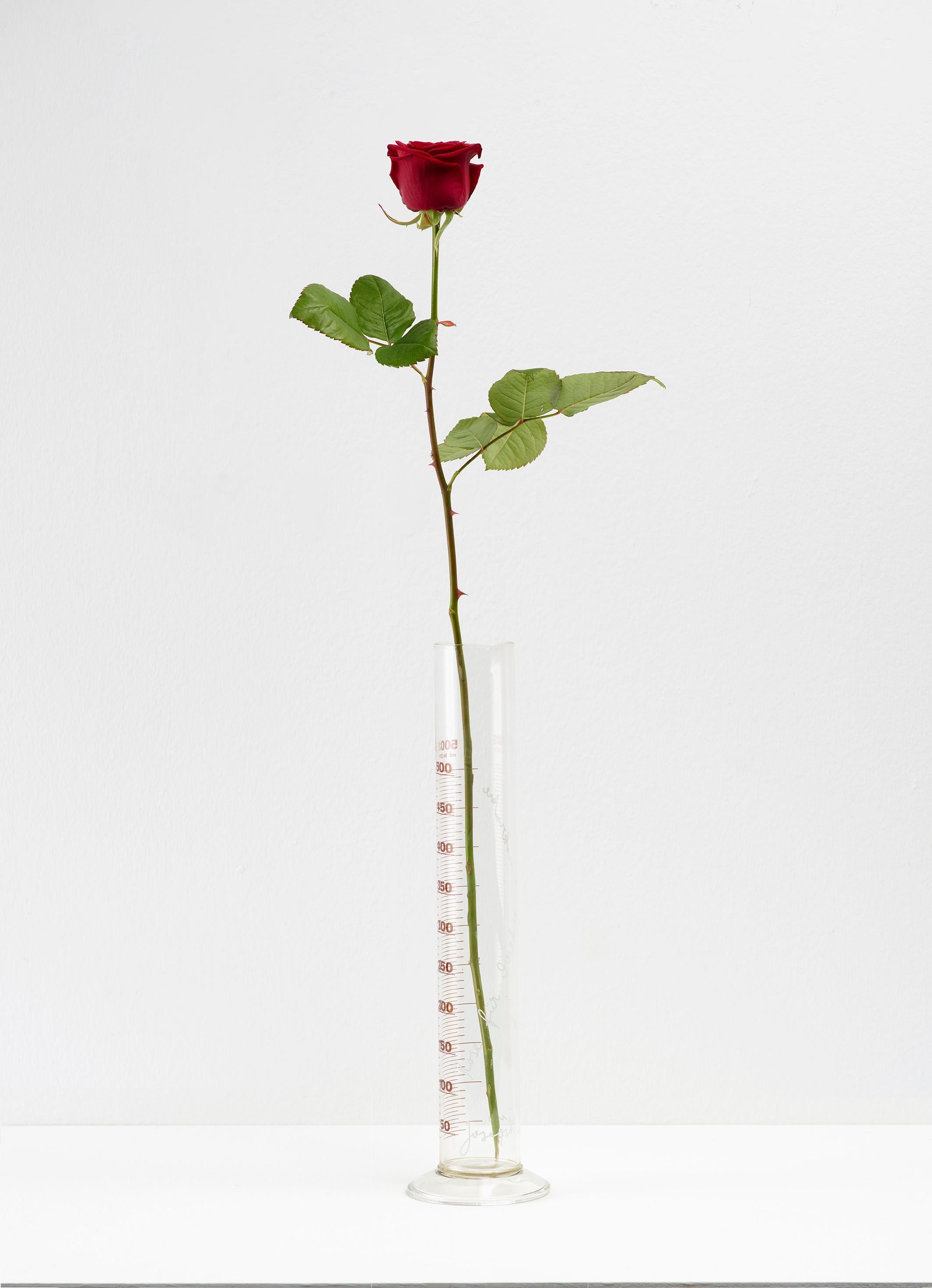 "Rose for Direct Democracy", Original multiple with signed certificate, vase - Sculpture by Joseph Beuys