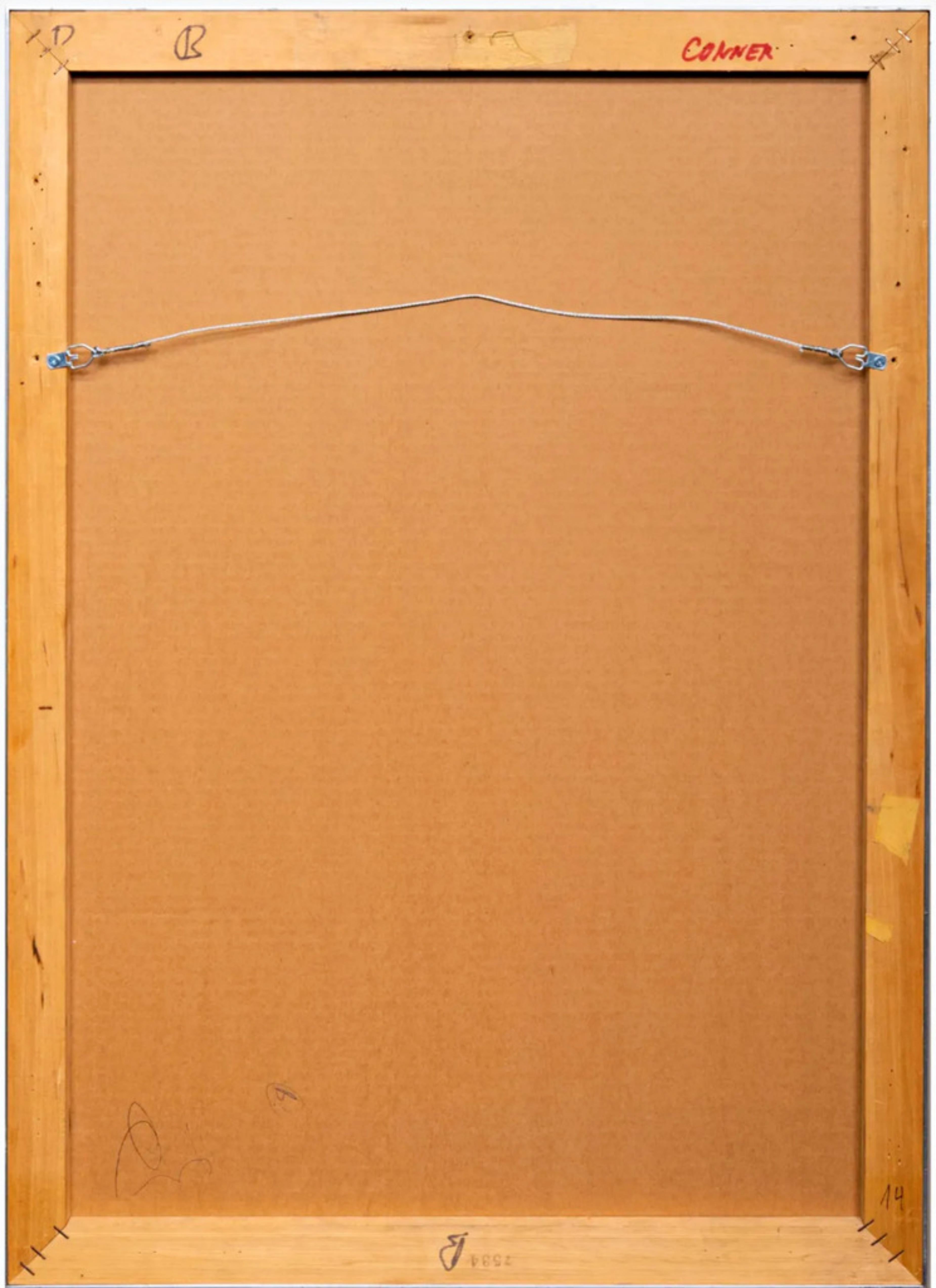 Stripes from the House of the Shaman Rare print Hand Signed ink by Joseph Beuys For Sale 3