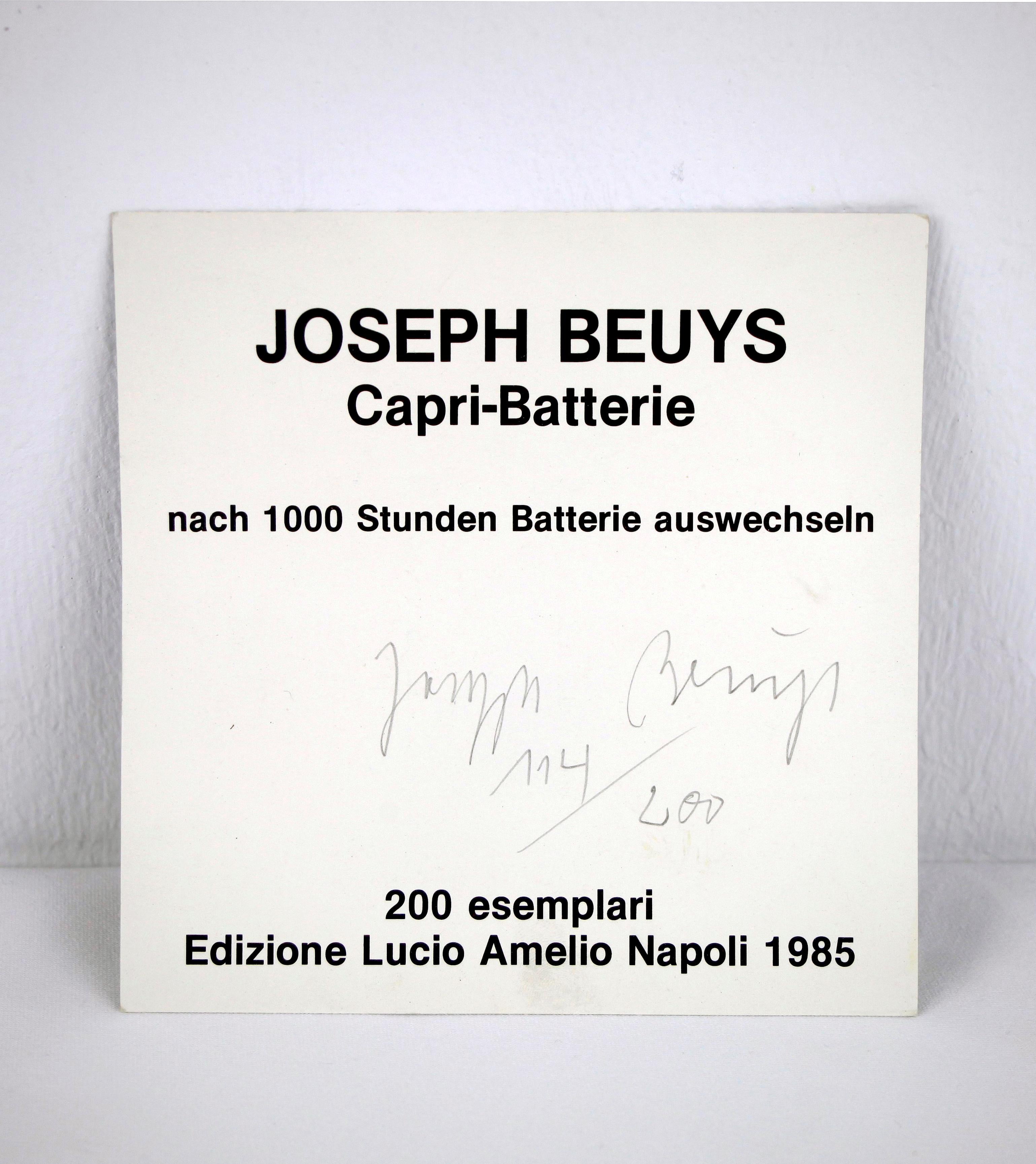„“Capri Battery“, eine der letzten Multiples, signiert von Beuys (114/200) 1