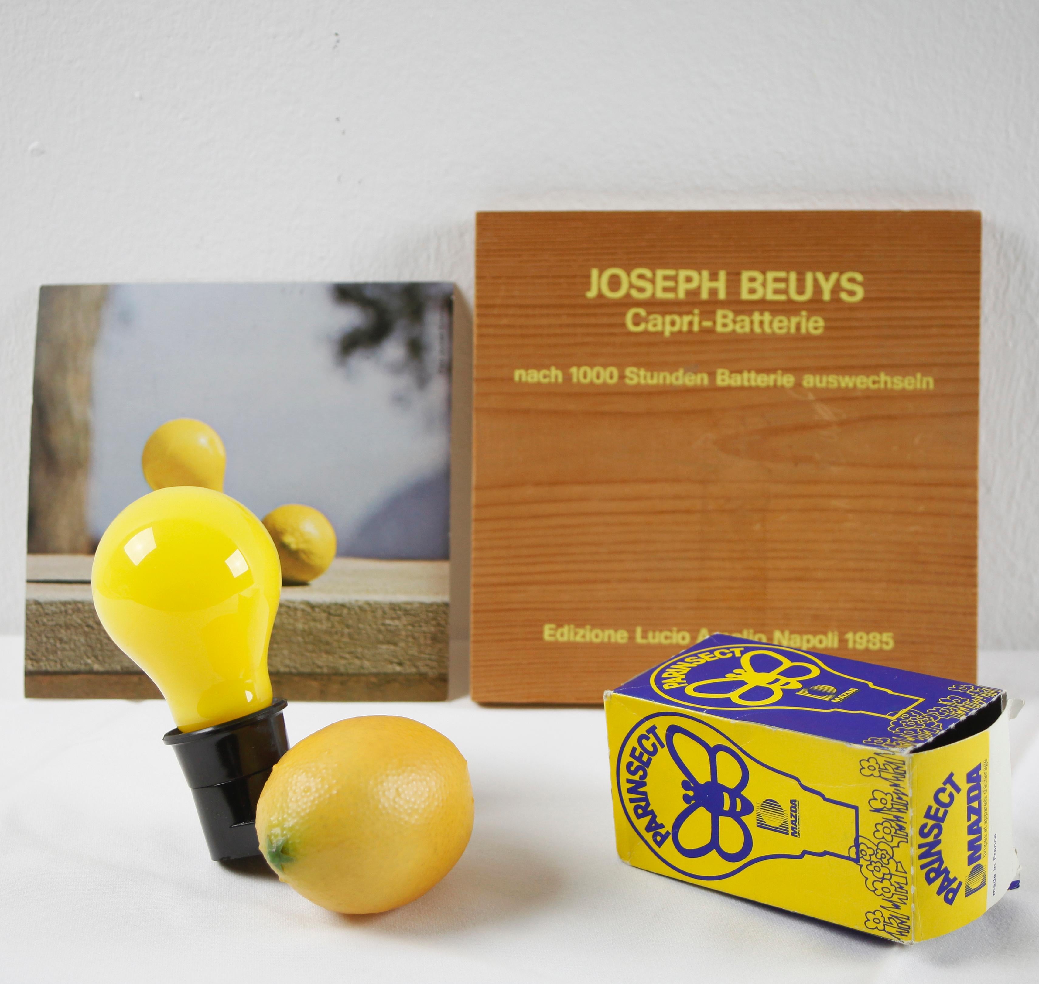 „“Capri Battery“, eine der letzten Multiples, signiert von Beuys (114/200) 2