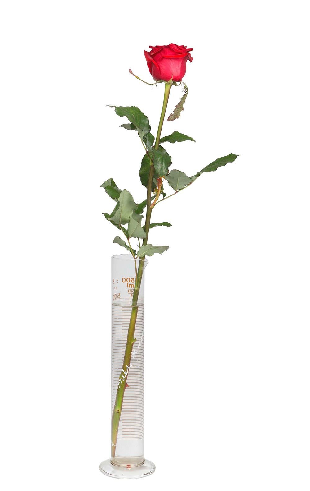 Eine Rose fur direkte Demokratie, concettuale, Vetro, Politica - Sculpture di Joseph Beuys