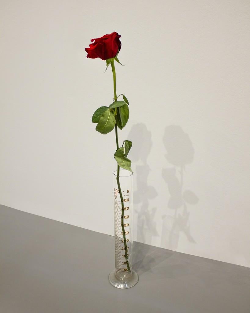 Joseph Beuys Still-Life Sculpture - Eine Rose fur direkte Demokratie, conceptual, Glass, Politics