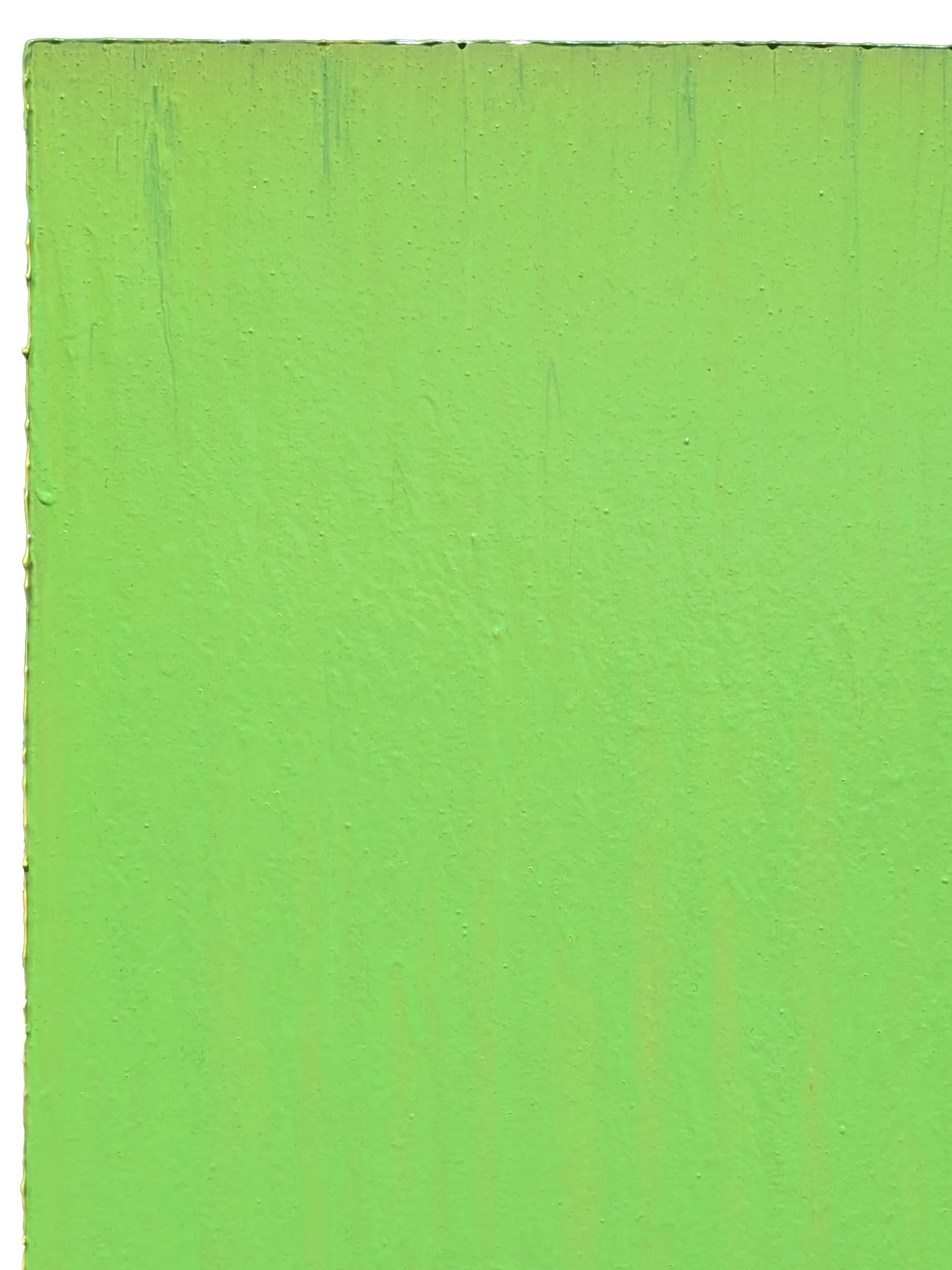 Quadro astratto contemporaneo di colore verde brillante dell'artista Joseph Cohen di Houston. L'opera presenta un solido campo verde che termina con delle gocce sul bordo inferiore del pezzo. Anche i bordi sono dipinti di giallo e blu brillante, per