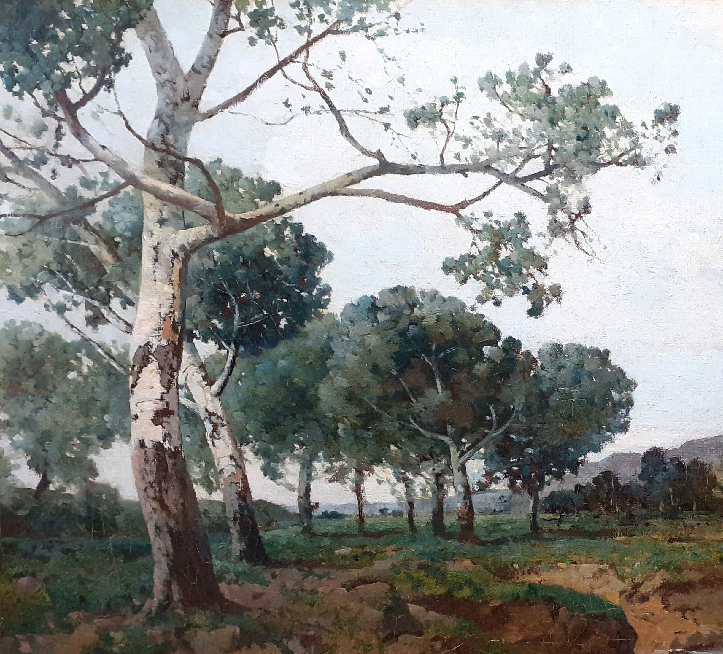 A wonderful work by Provençal master Joseph Collas, a native of Aix en Provence in the South of France. Born in 1841, Collas studied with Emile Loubon - who was also known for his panoramic landscapes of Provence - and exhibited widely, at the Paris