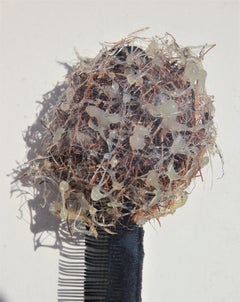 "Costa Berberisca" Escultura de pared Brutalista de Técnica Mixta Ensamblaje Firmado J. Colby