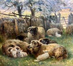 Pintura escocesa del siglo XIX "Mayo" ovejas en un paisaje rural 1881