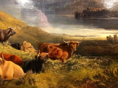Highland Cattle