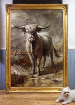 The Highlander - 19th Century Portrait Oil Painting of Scottish Highland Bull
