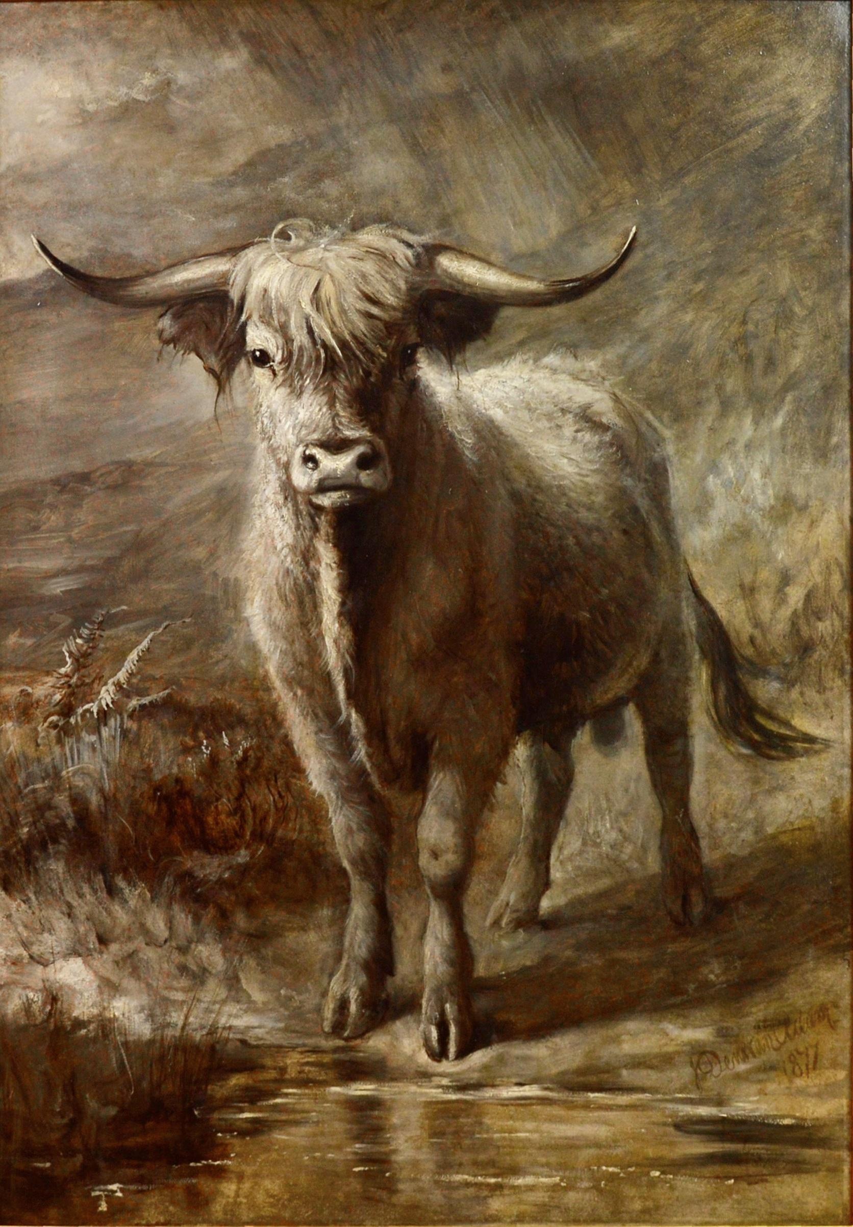 highlander bull