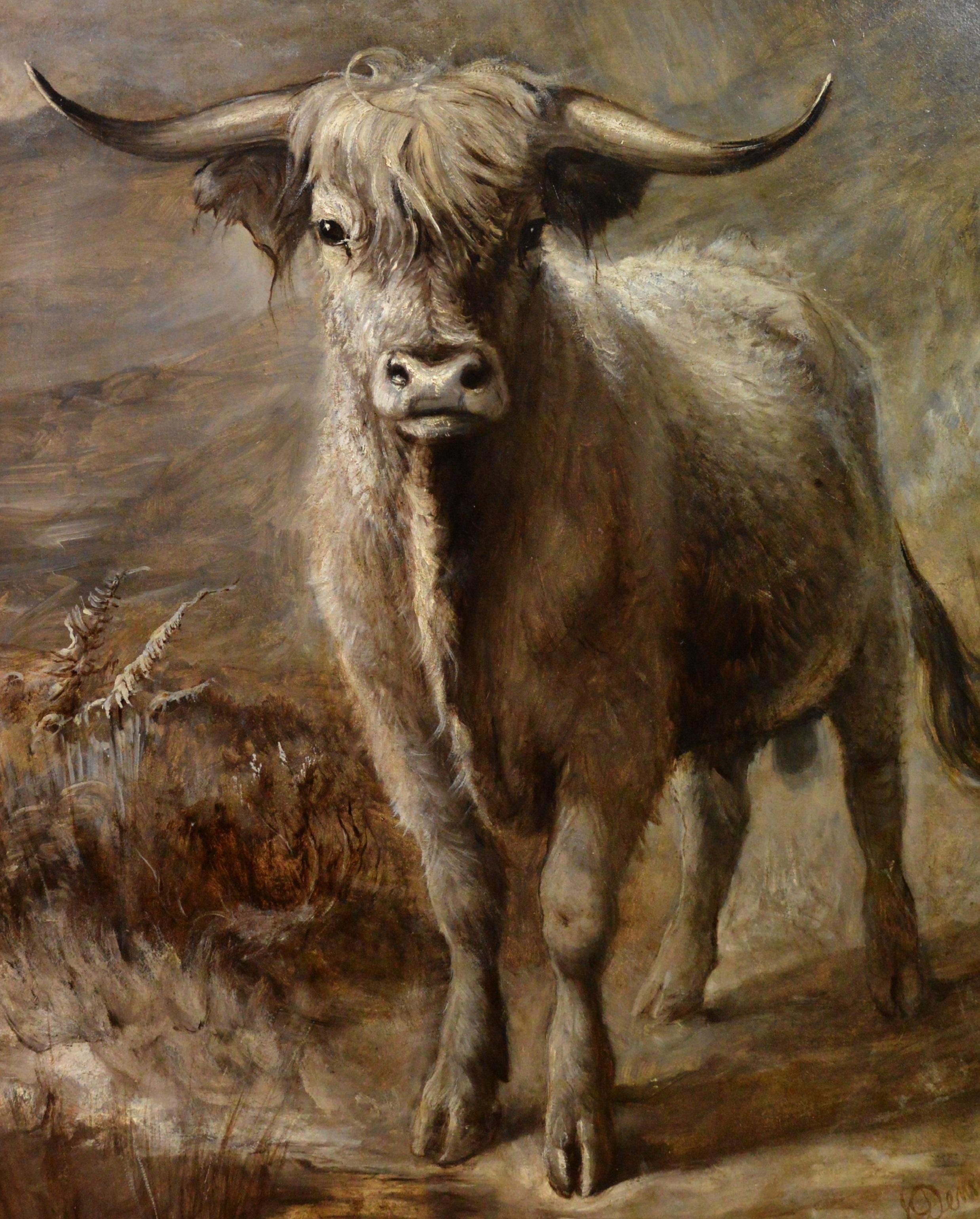 highland bull painting