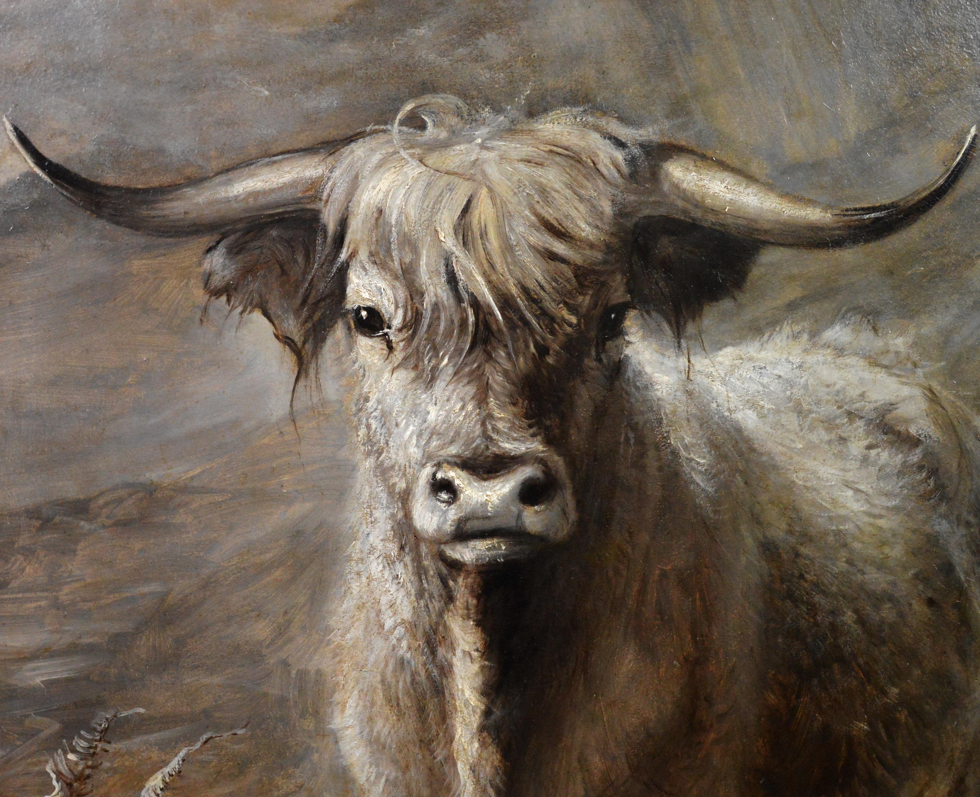The Highlander - 19th Century Portrait Oil Painting of Scottish Highland Bull - Brown Landscape Painting by Joseph Denovan Adam