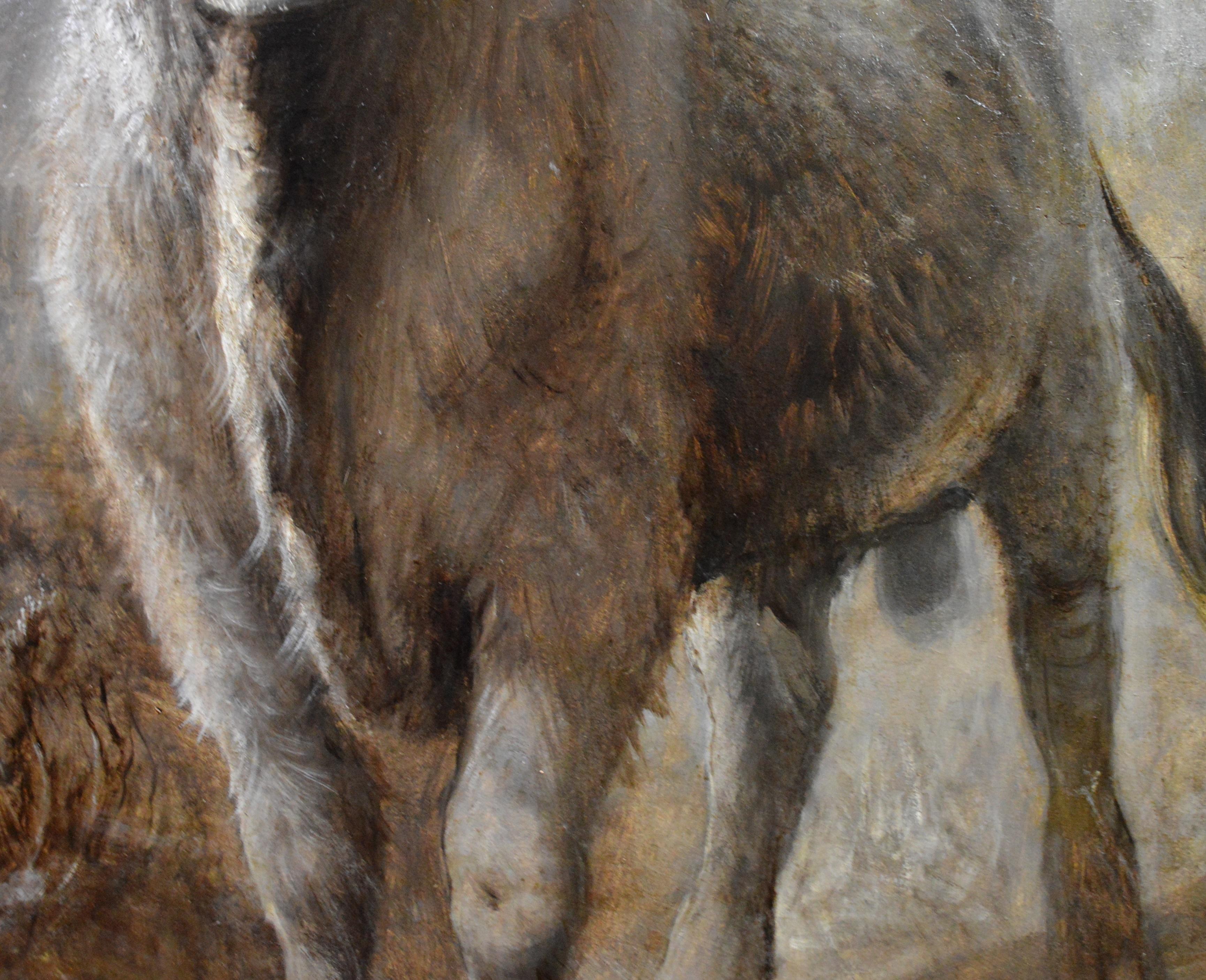The Highlander - 19th Century Portrait Oil Painting of Scottish Highland Bull 1