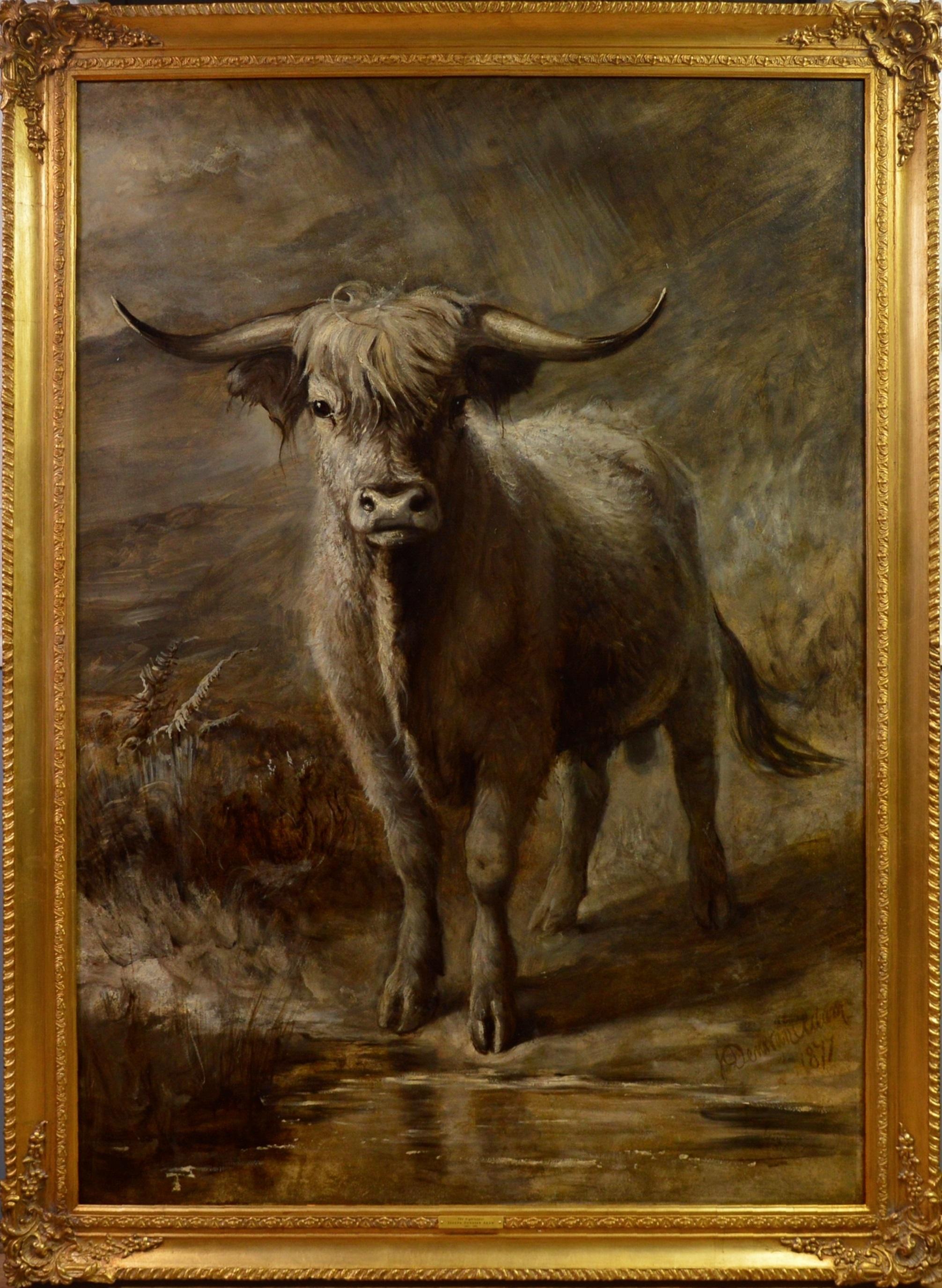 Joseph Denovan Adam Landscape Painting - The Highlander - 19th Century Portrait Oil Painting of Scottish Highland Bull